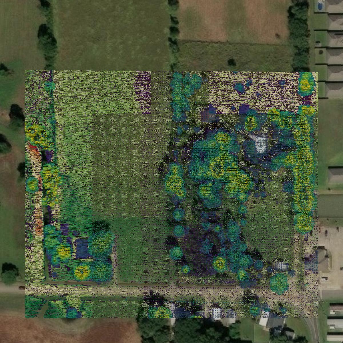 This image shows a LiDAR point cloud in Acadia Parish created using GIS data in Equator.