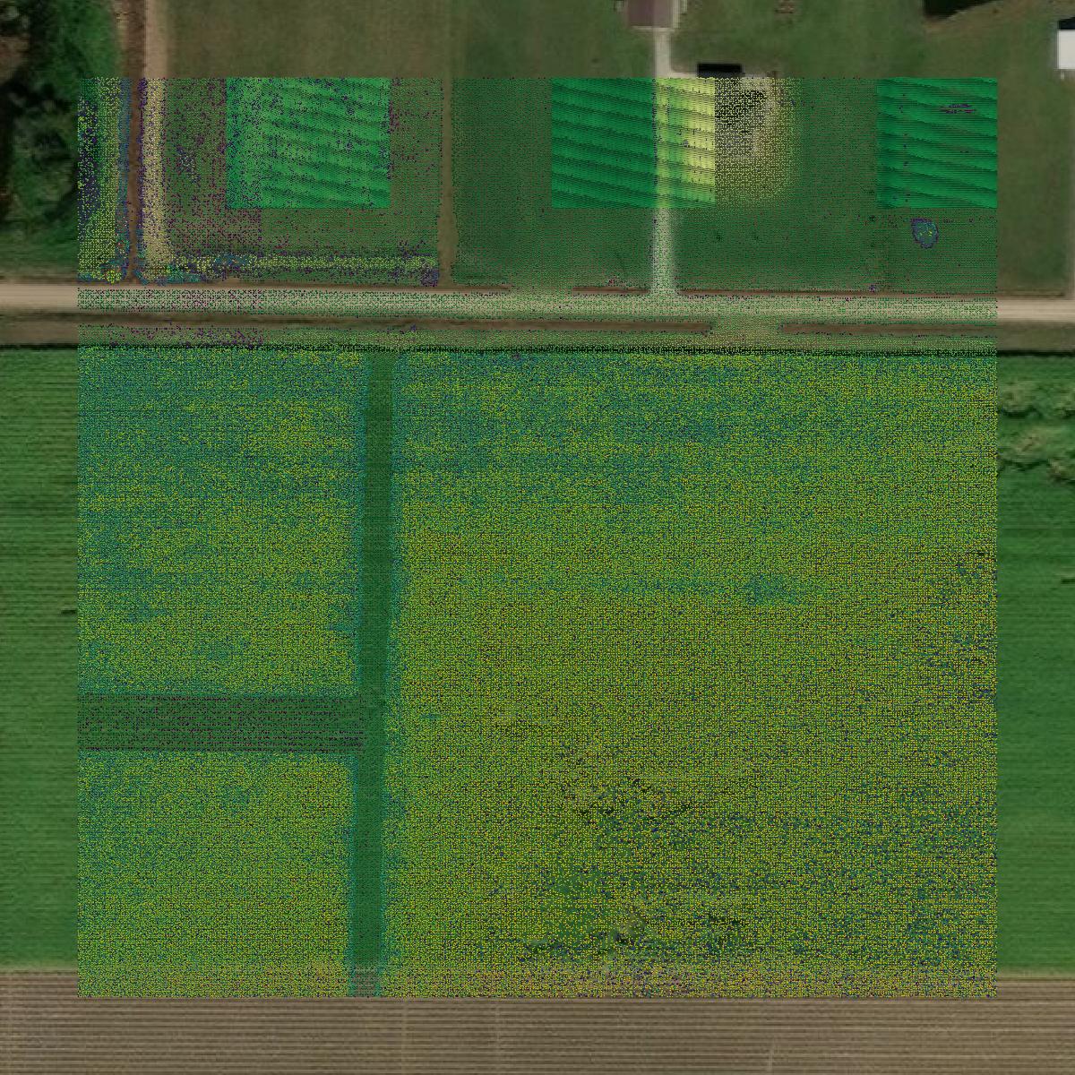 This image shows a LiDAR point cloud in Acadia Parish created using GIS data in Equator.