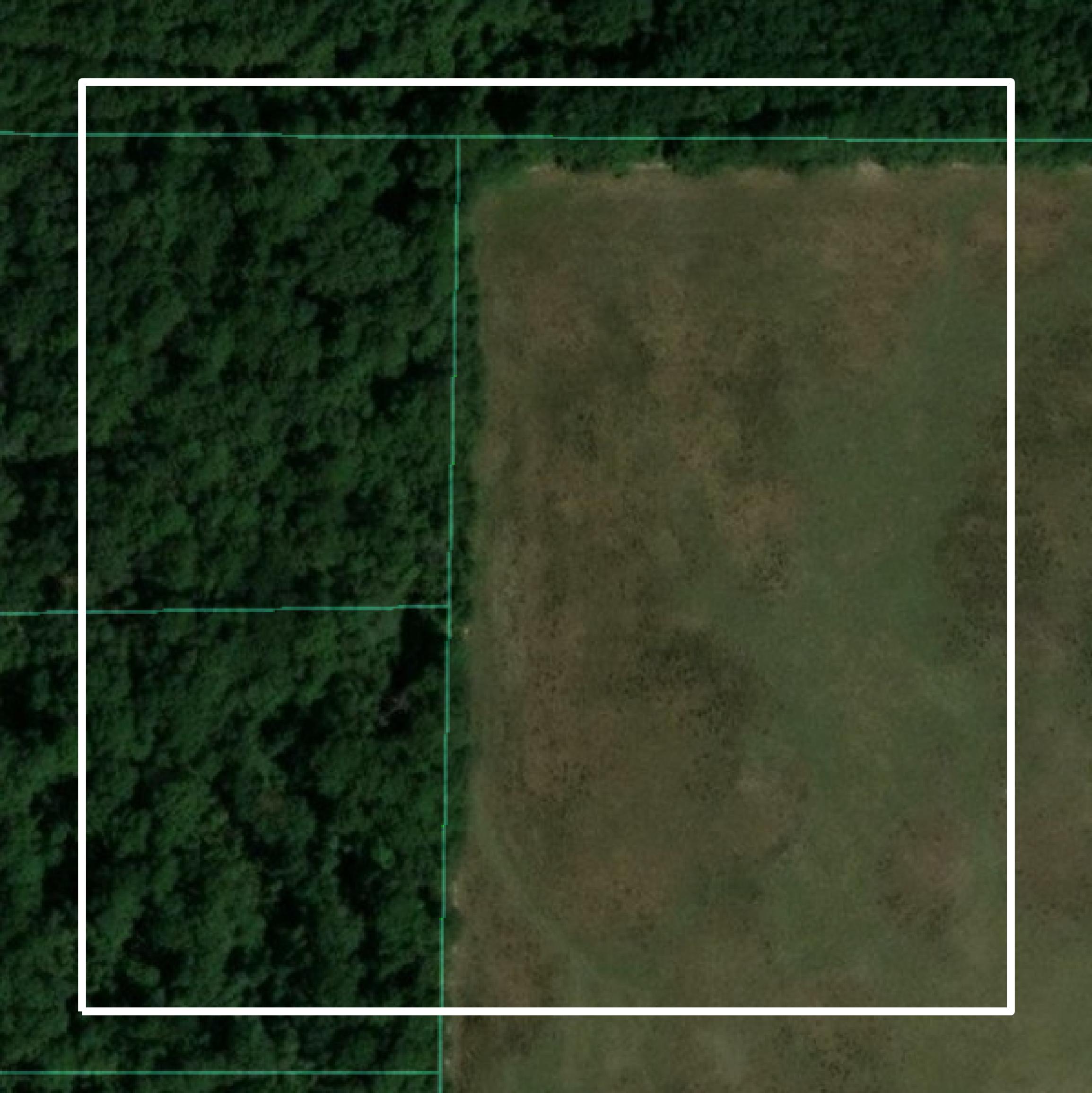 This image shows parcel and building data in Allen Parish created using GIS data in Equator.
