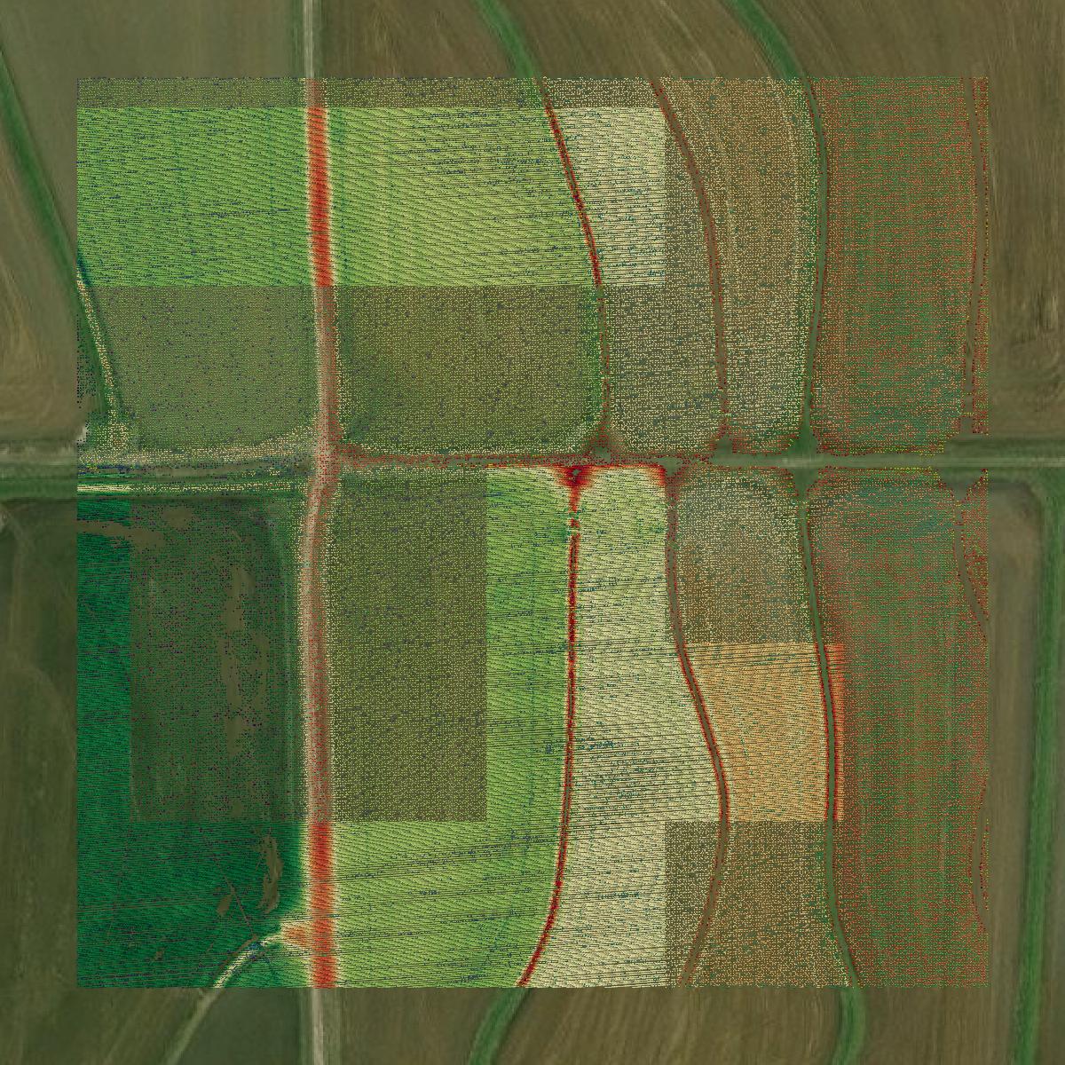 This image shows a LiDAR point cloud in Allen Parish created using GIS data in Equator.