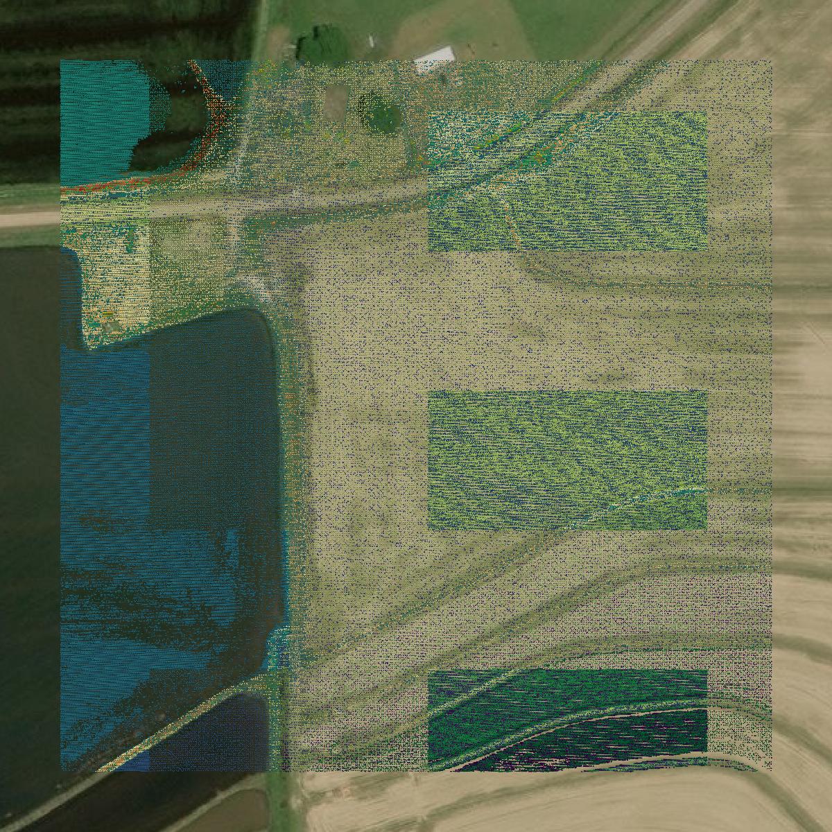 This image shows a LiDAR point cloud in Allen Parish created using GIS data in Equator.