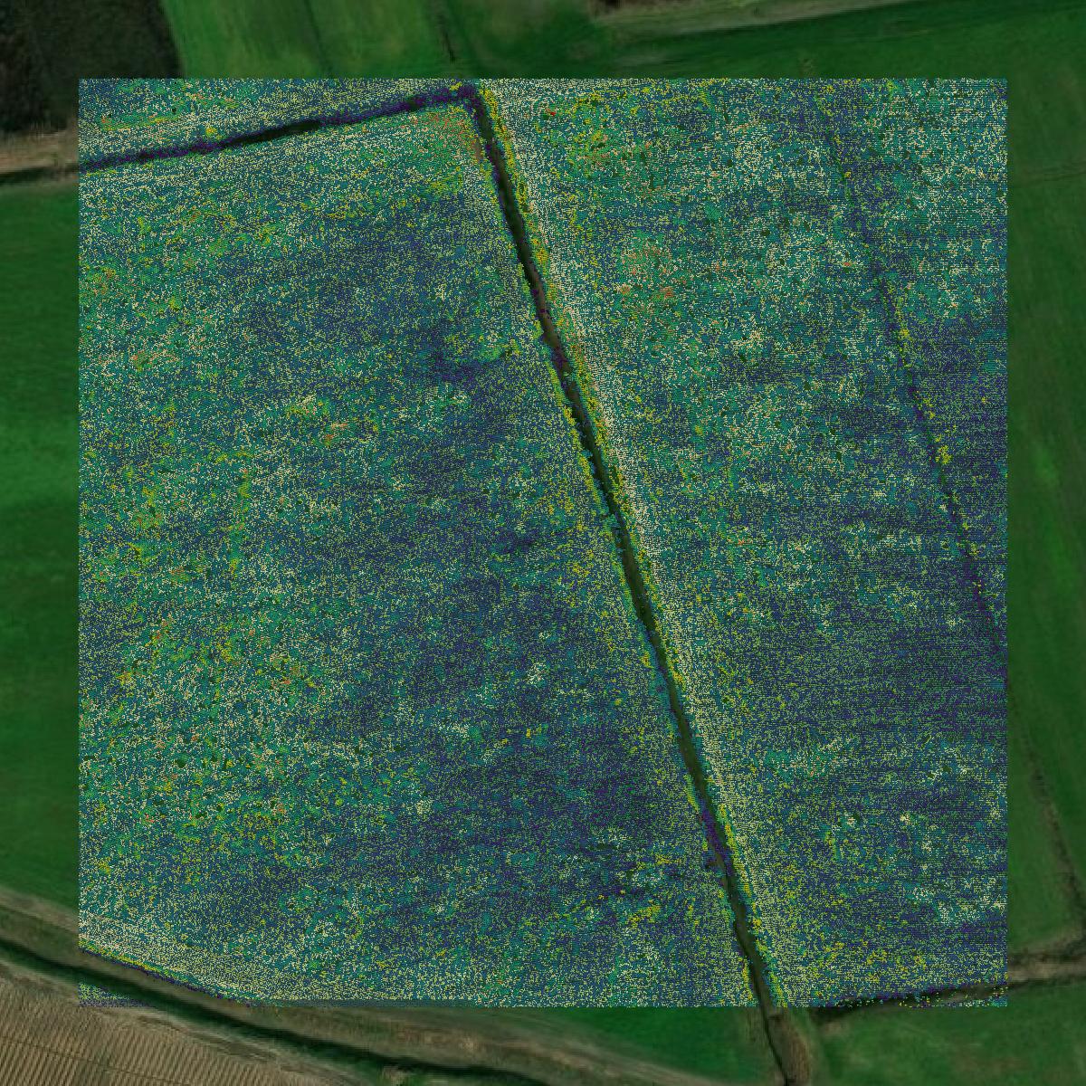 This image shows a LiDAR point cloud in Ascension Parish created using GIS data in Equator.