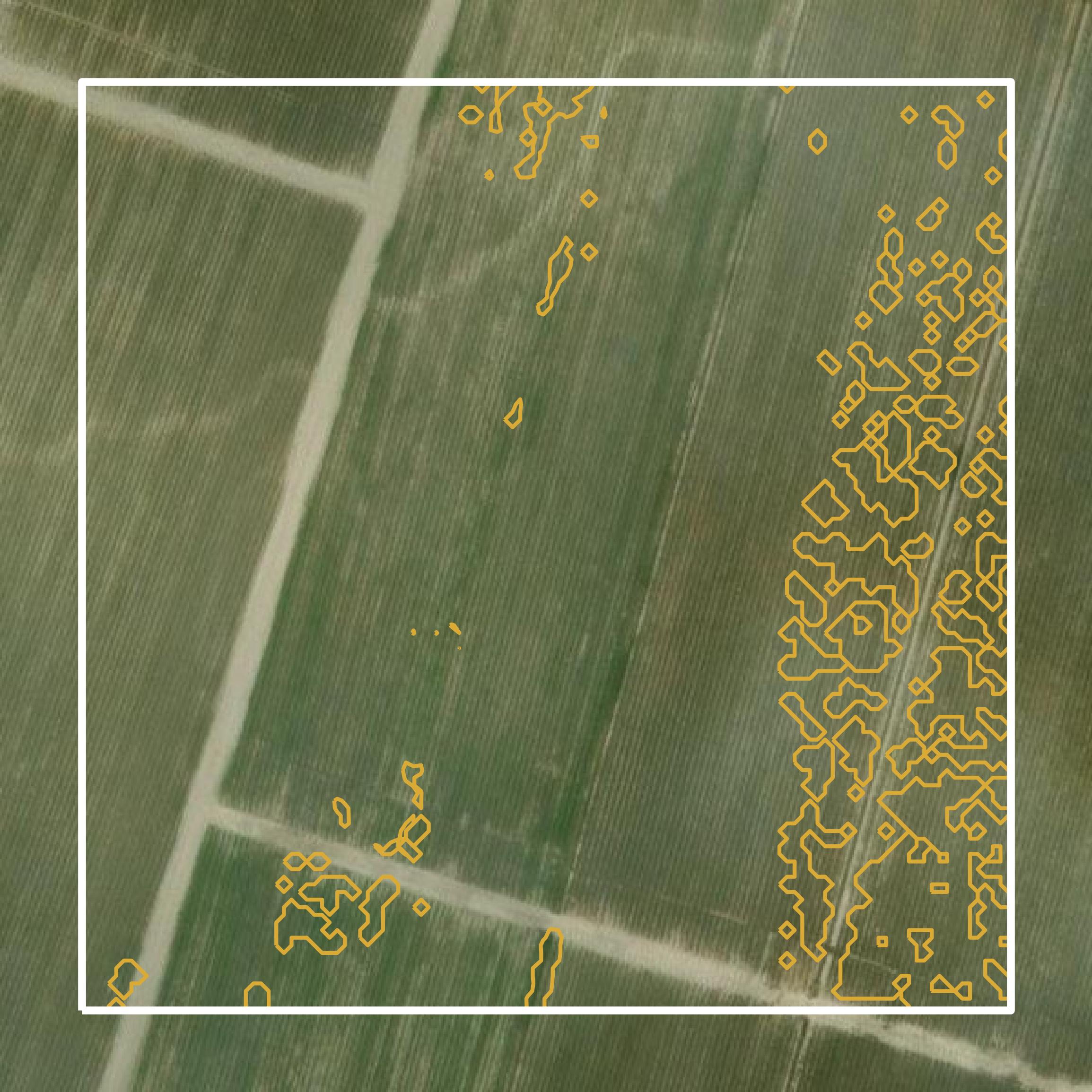 This image shows a contour map in Assumption Parish created using GIS data in Equator.