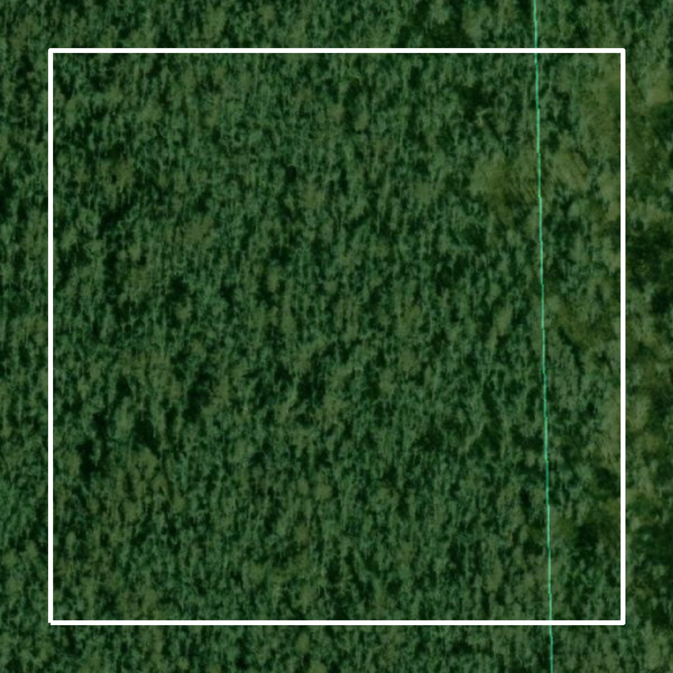 This image shows parcel and building data in Assumption Parish created using GIS data in Equator.