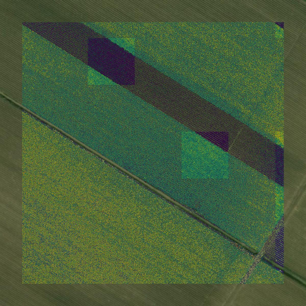 This image shows a LiDAR point cloud in Assumption Parish created using GIS data in Equator.