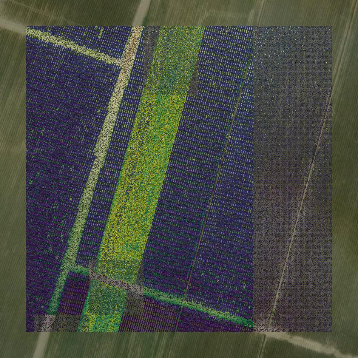 This image shows a LiDAR point cloud in Assumption Parish created using GIS data in Equator.