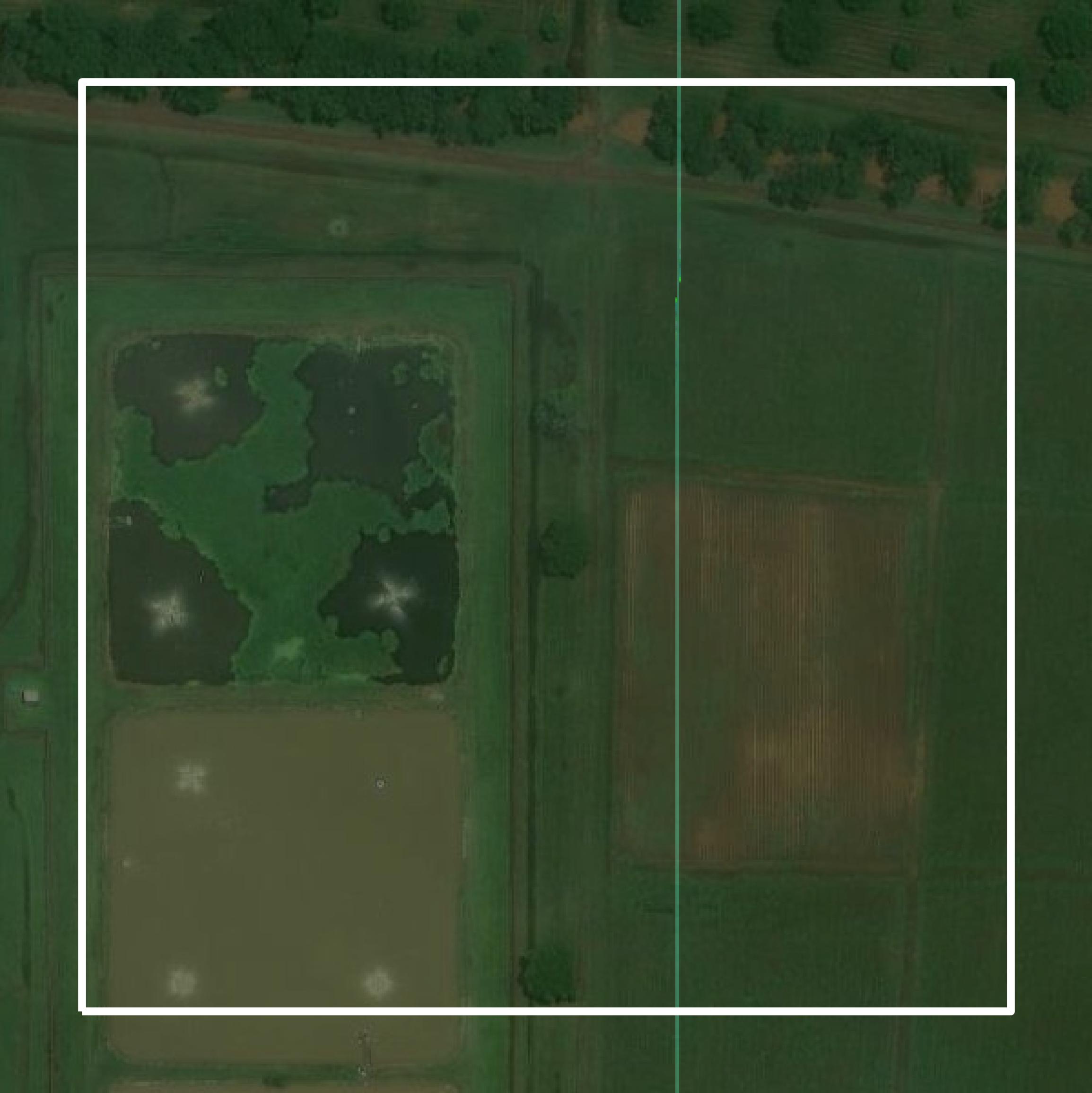 This image shows parcel and building data in Avoyelles Parish created using GIS data in Equator.
