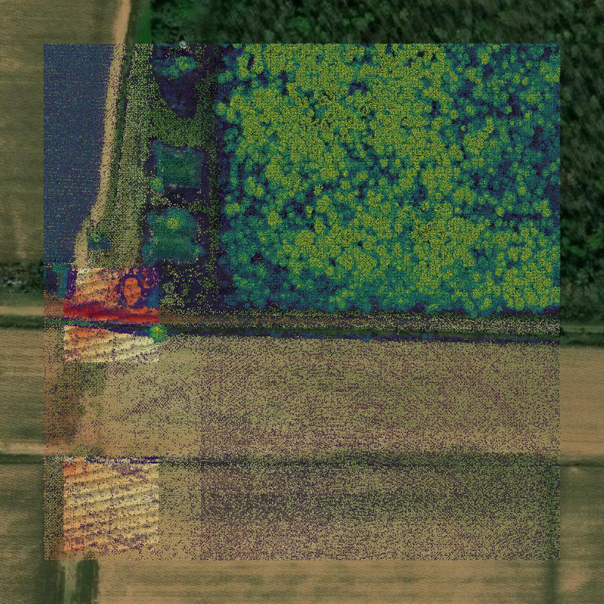 This image shows a LiDAR point cloud in Avoyelles Parish created using GIS data in Equator.