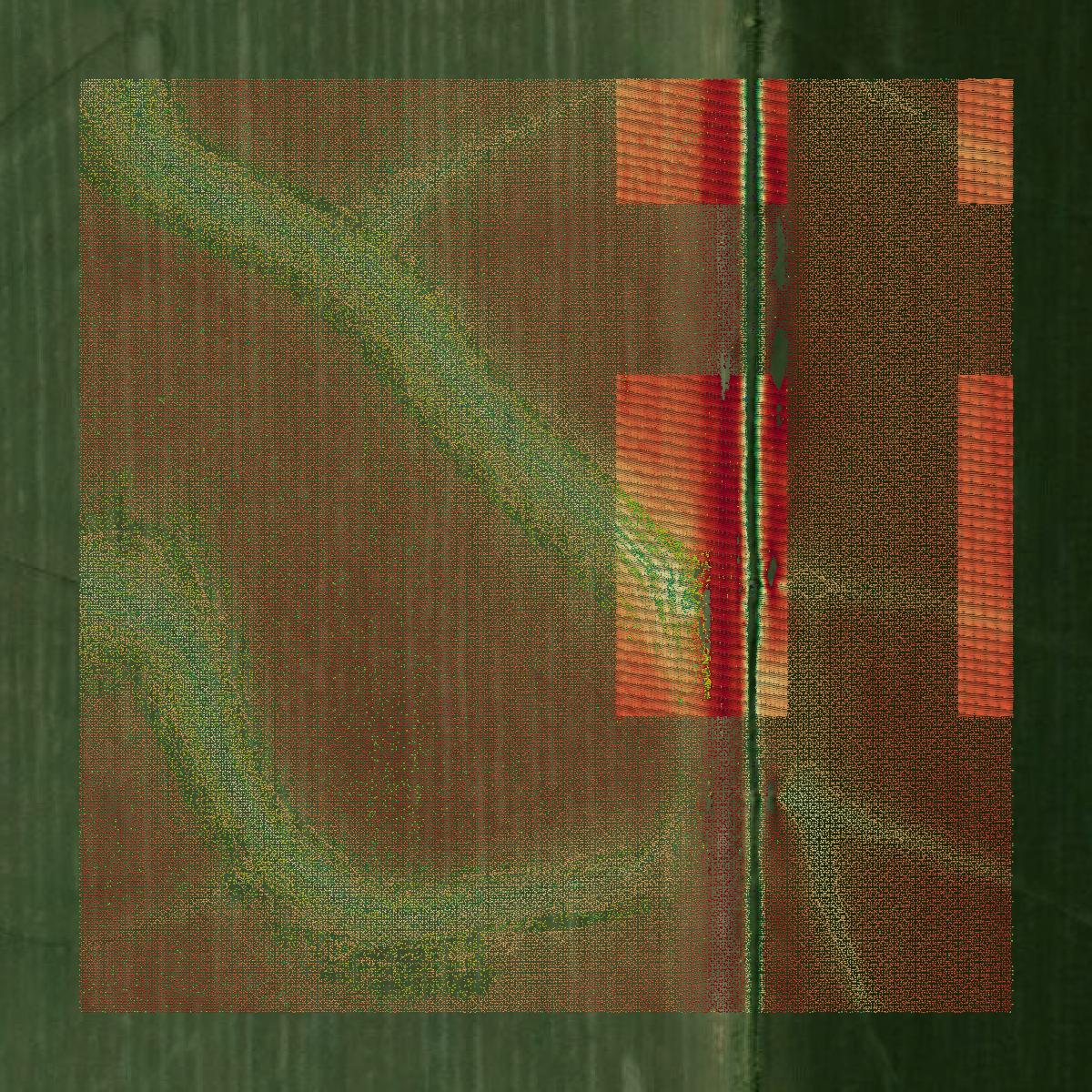 This image shows a LiDAR point cloud in Avoyelles Parish created using GIS data in Equator.