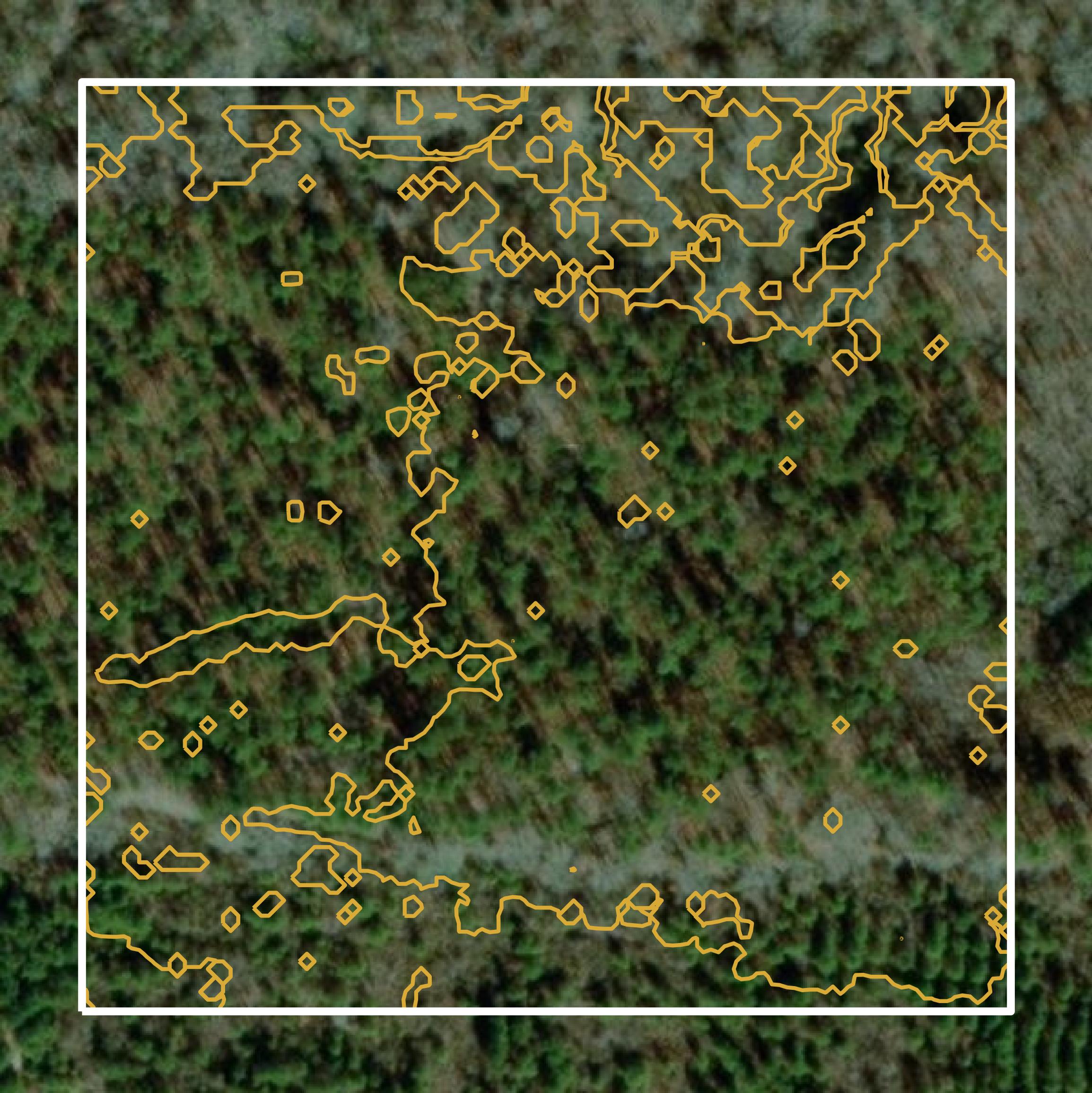 This image shows a contour map in Bienville Parish created using GIS data in Equator.