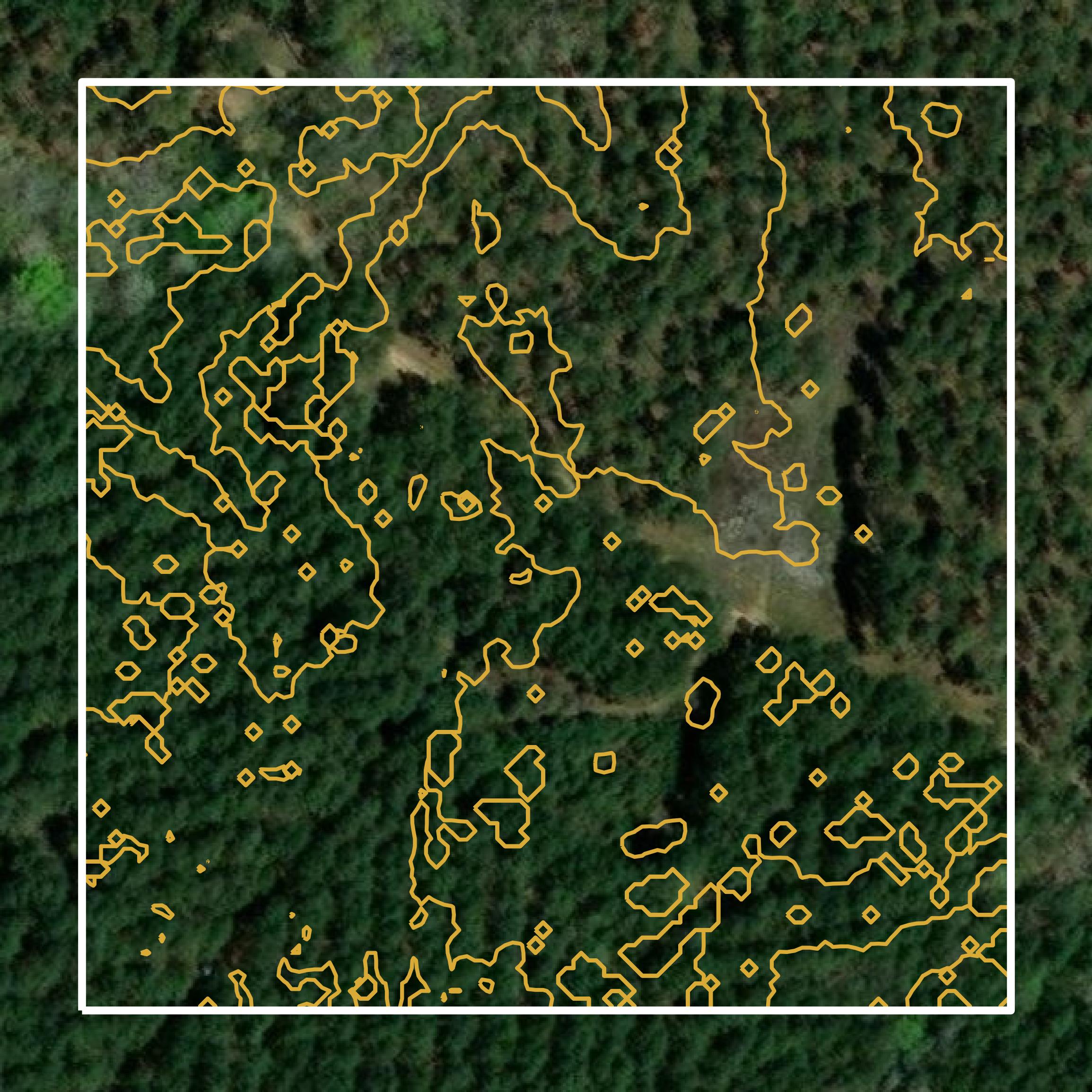 This image shows a contour map in Bienville Parish created using GIS data in Equator.