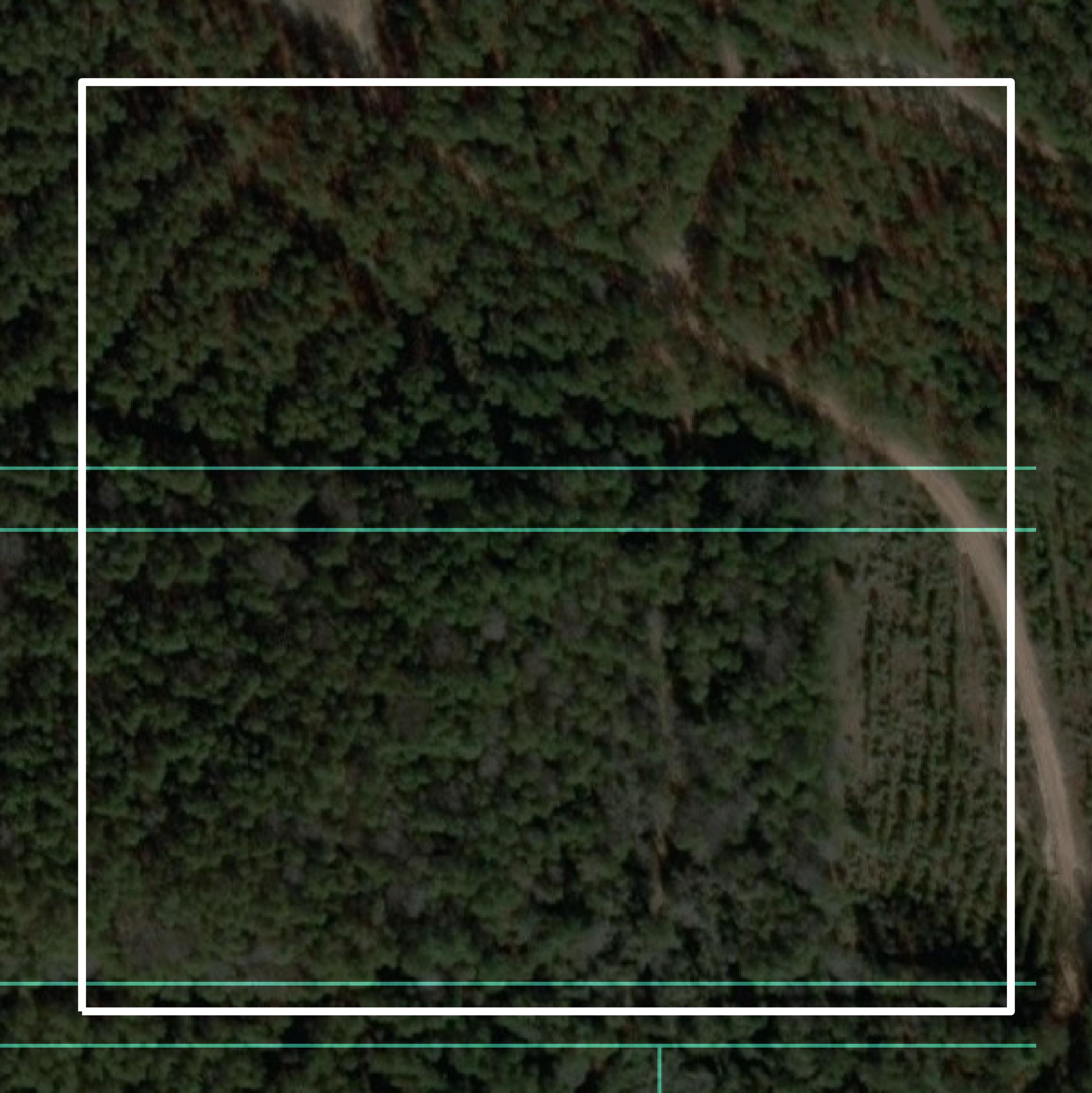 This image shows parcel and building data in Bienville Parish created using GIS data in Equator.