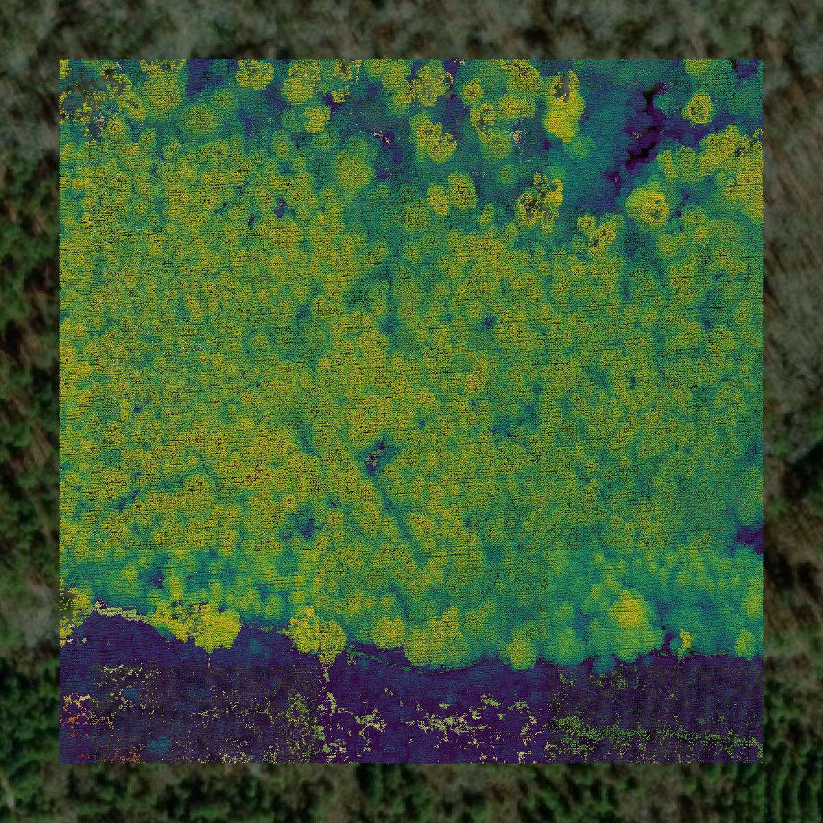 This image shows a LiDAR point cloud in Bienville Parish created using GIS data in Equator.