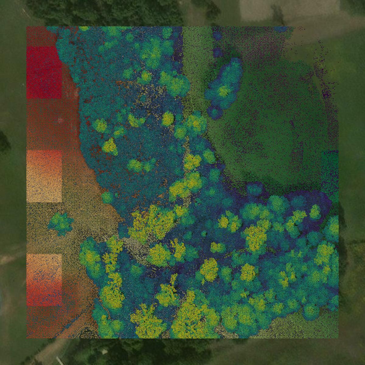This image shows a LiDAR point cloud in Bossier Parish created using GIS data in Equator.