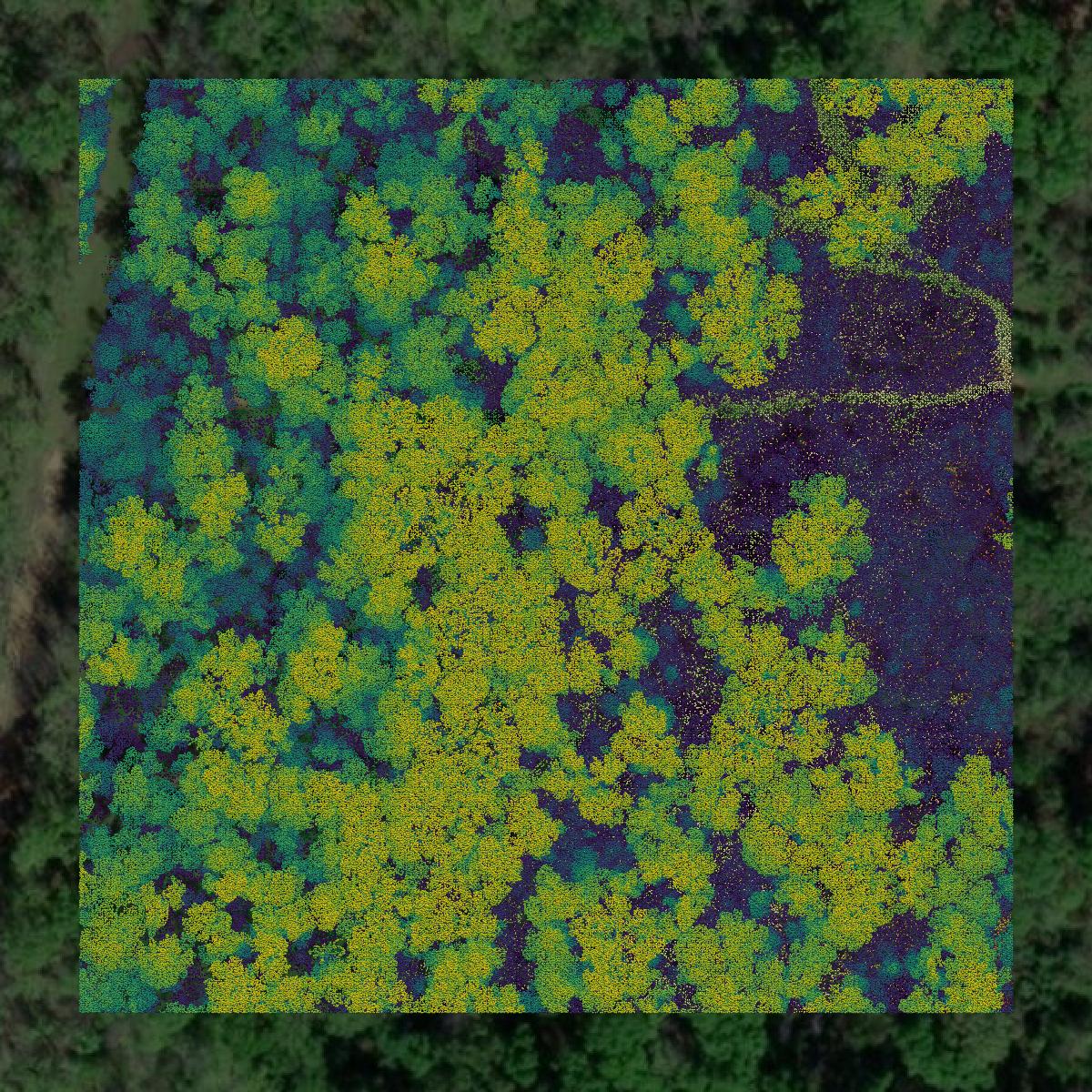 This image shows a LiDAR point cloud in Bossier Parish created using GIS data in Equator.