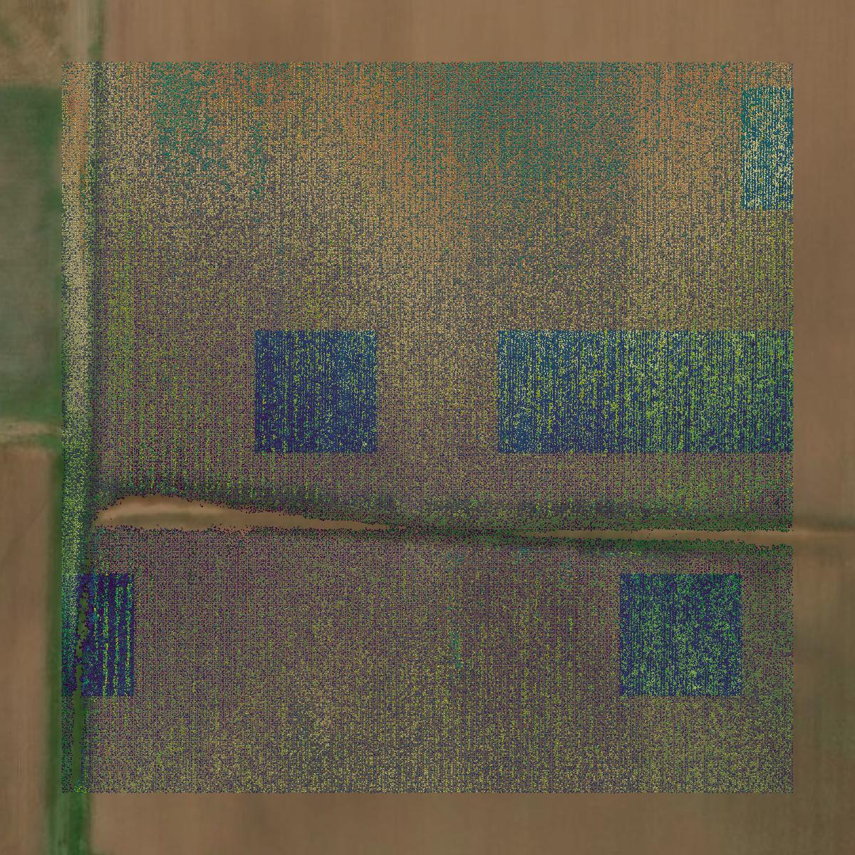 This image shows a LiDAR point cloud in Caddo Parish created using GIS data in Equator.