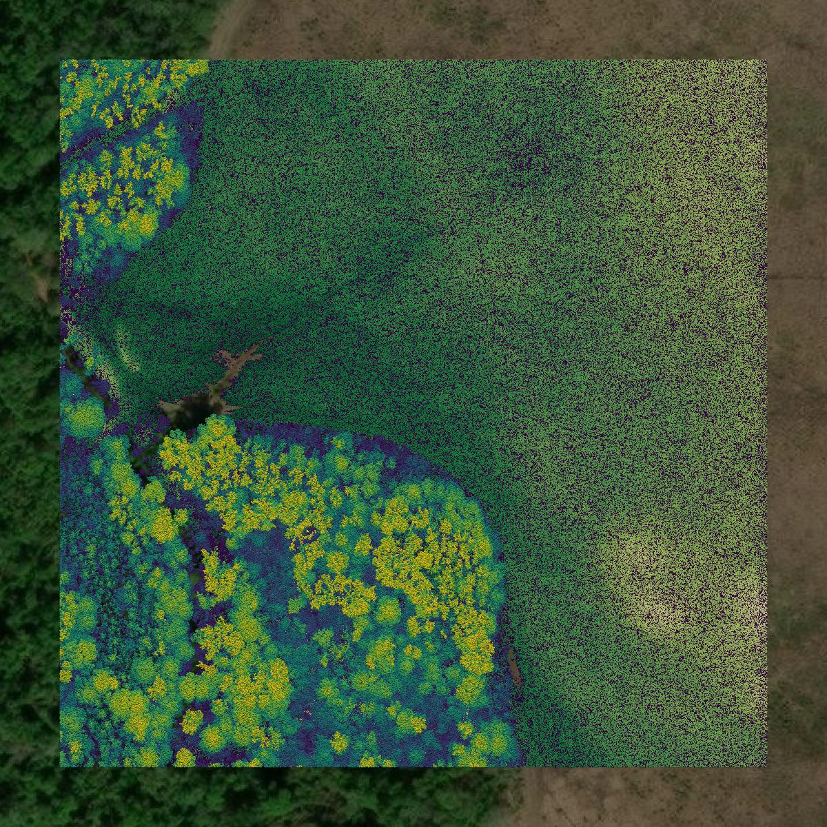 This image shows a LiDAR point cloud in Calcasieu Parish created using GIS data in Equator.