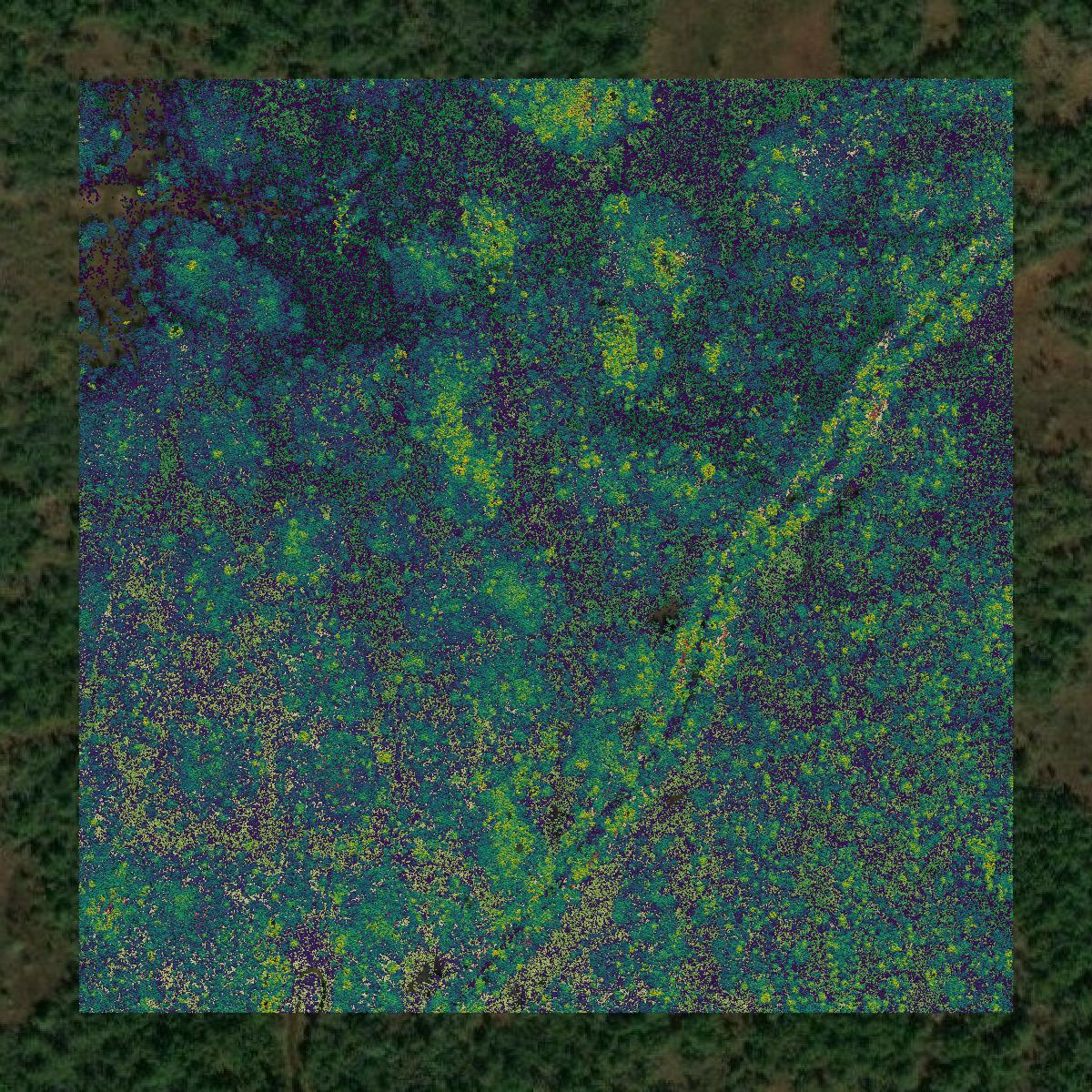 This image shows a LiDAR point cloud in Calcasieu Parish created using GIS data in Equator.