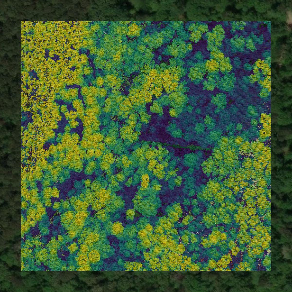This image shows a LiDAR point cloud in Caldwell Parish created using GIS data in Equator.