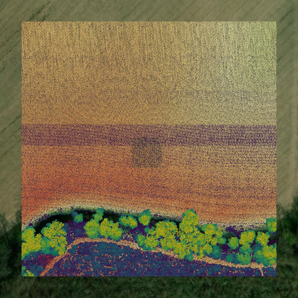 This image shows a LiDAR point cloud in Caldwell Parish created using GIS data in Equator.