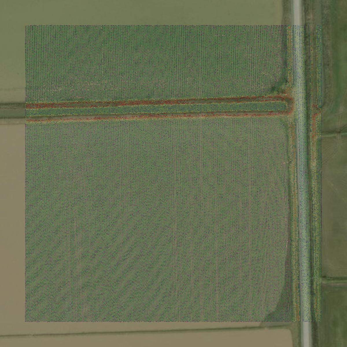 This image shows a LiDAR point cloud in Cameron Parish created using GIS data in Equator.