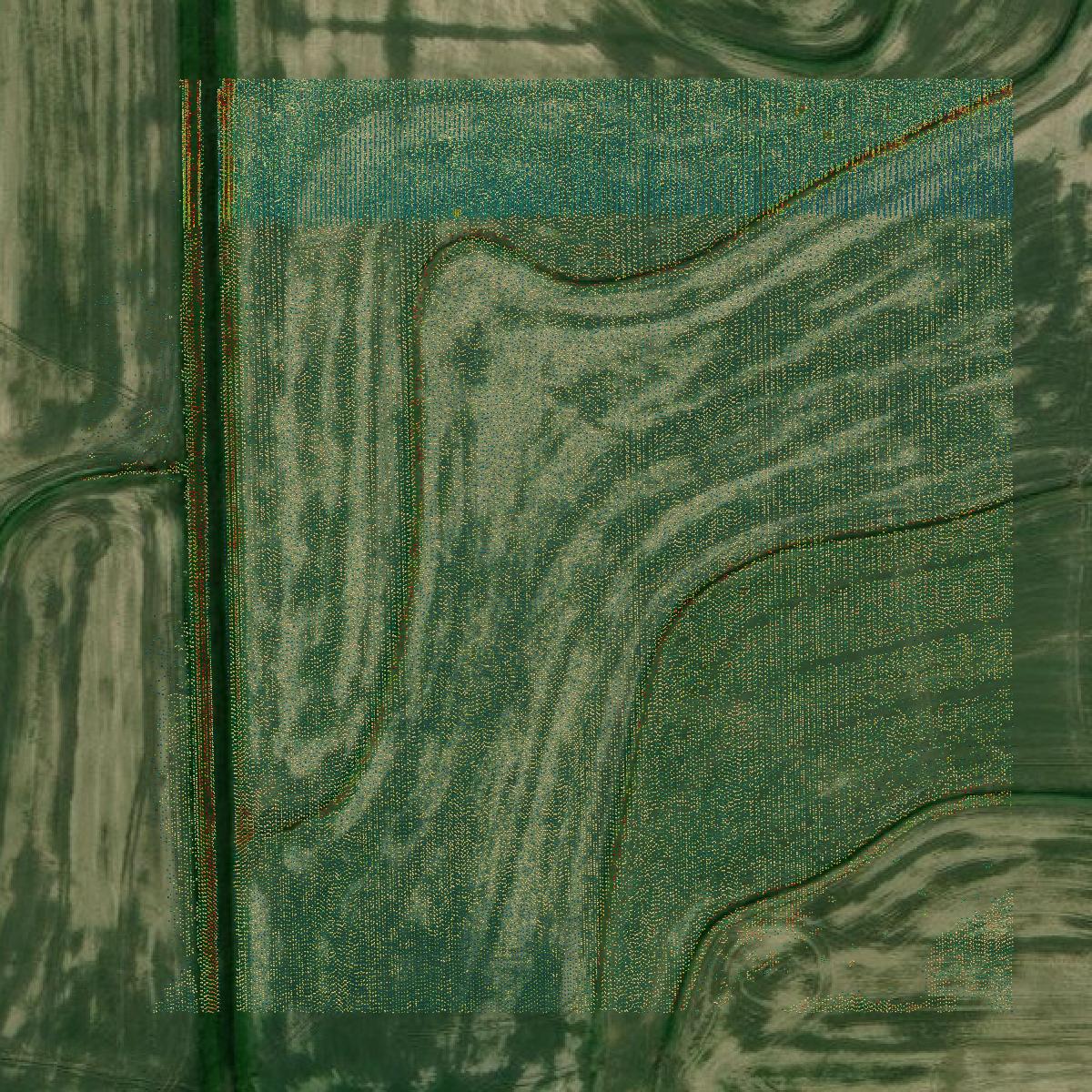 This image shows a LiDAR point cloud in Cameron Parish created using GIS data in Equator.
