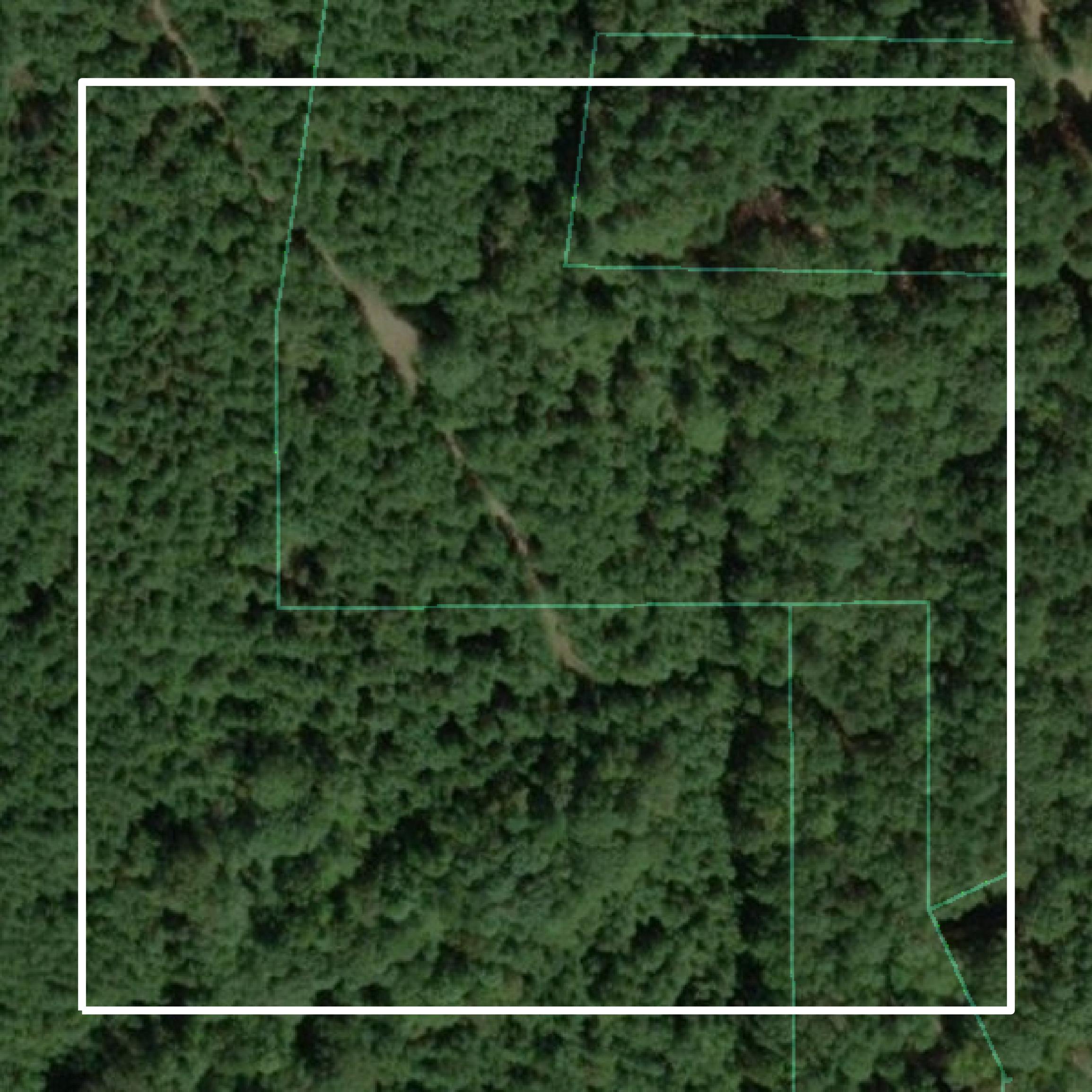 This image shows parcel and building data in Claiborne Parish created using GIS data in Equator.