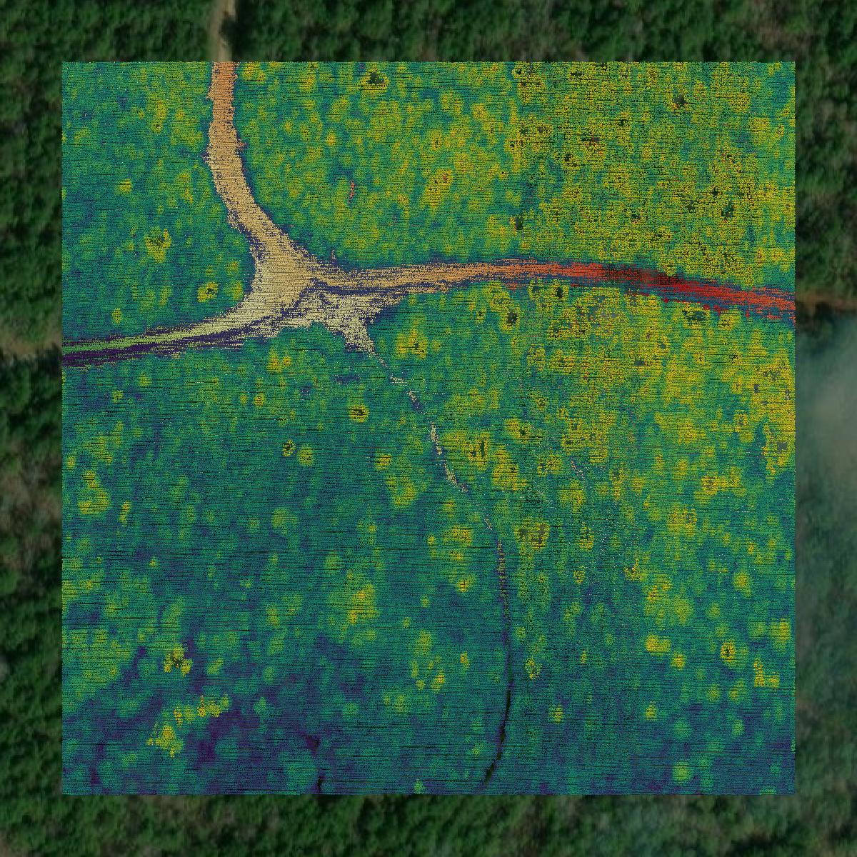 This image shows a LiDAR point cloud in Claiborne Parish created using GIS data in Equator.