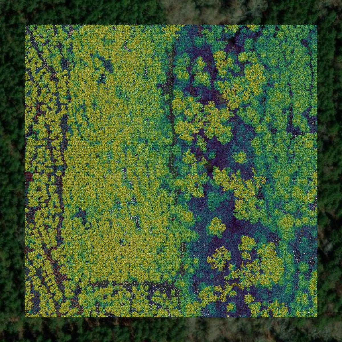 This image shows a LiDAR point cloud in De Soto Parish created using GIS data in Equator.