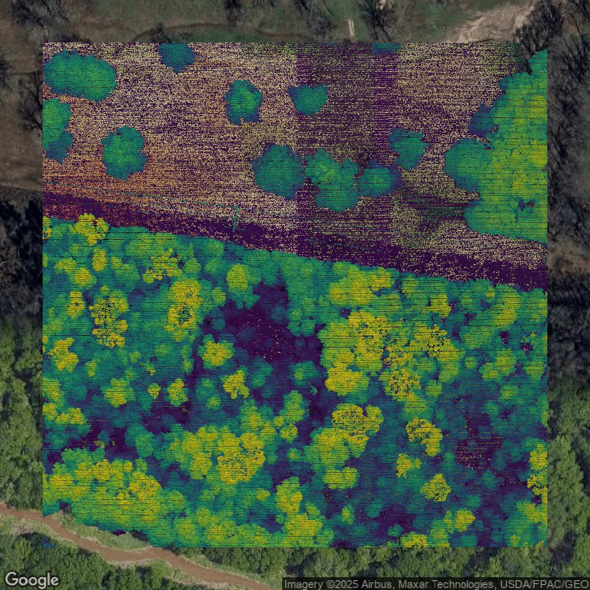 This image shows a LiDAR point cloud in East Baton Rouge Parish created using GIS data in Equator.
