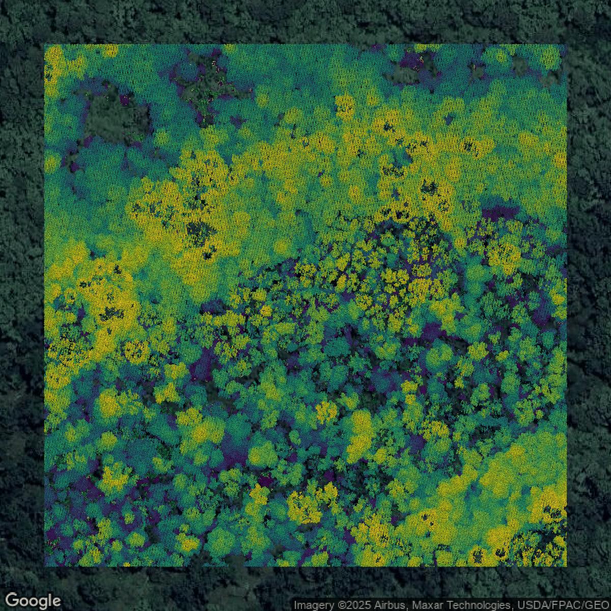 This image shows a LiDAR point cloud in East Baton Rouge Parish created using GIS data in Equator.