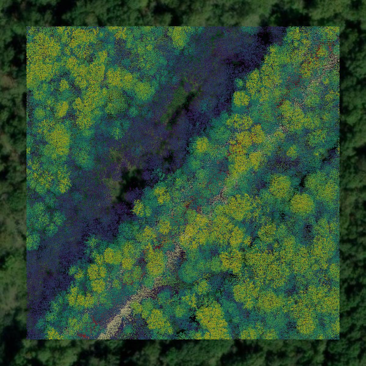 This image shows a LiDAR point cloud in East Carroll Parish created using GIS data in Equator.