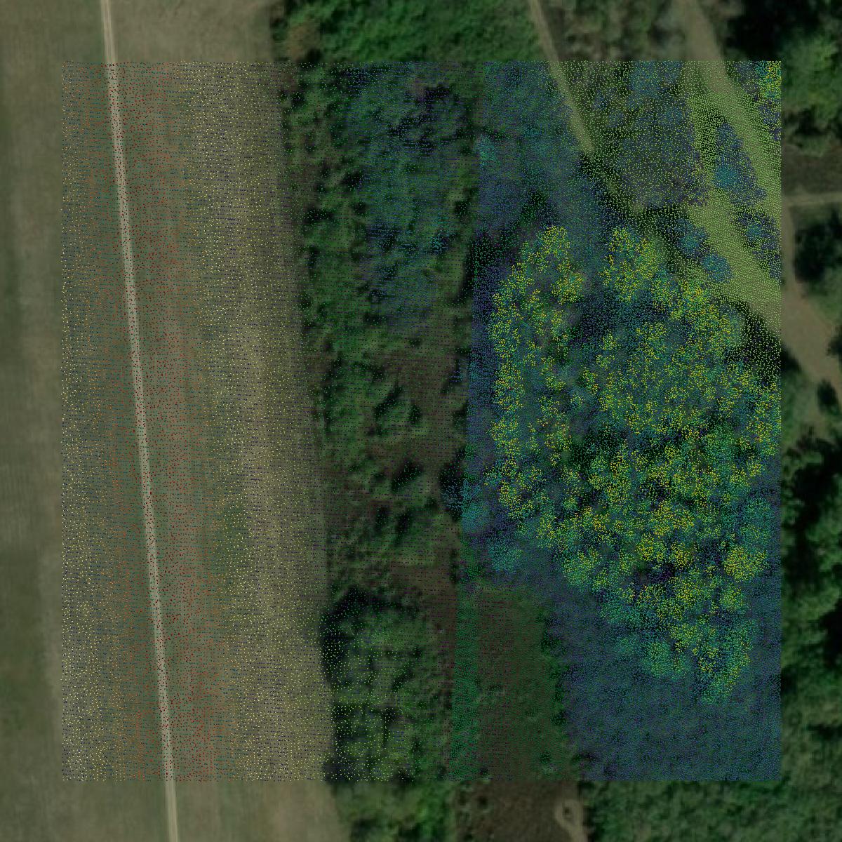 This image shows a LiDAR point cloud in East Carroll Parish created using GIS data in Equator.