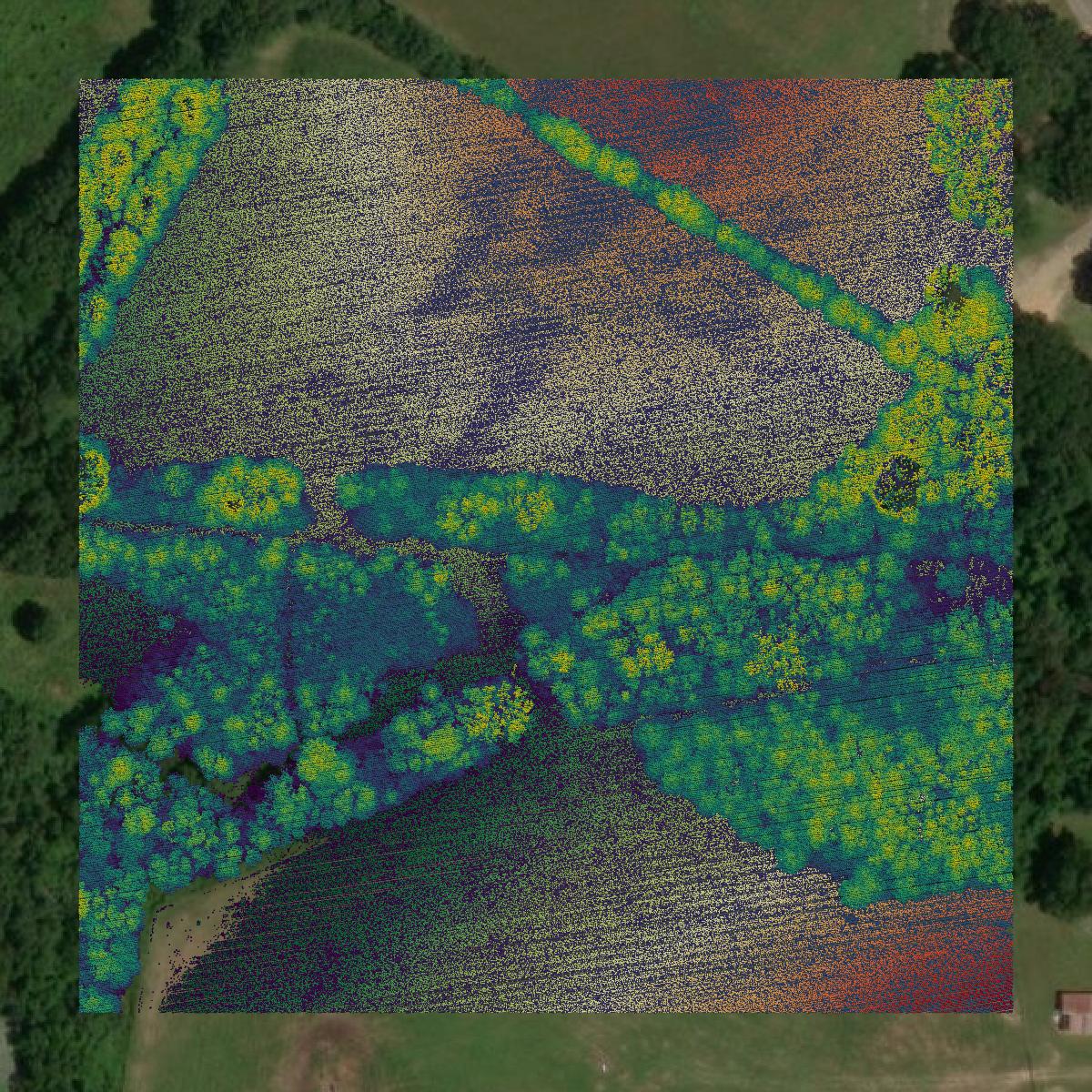This image shows a LiDAR point cloud in East Feliciana Parish created using GIS data in Equator.