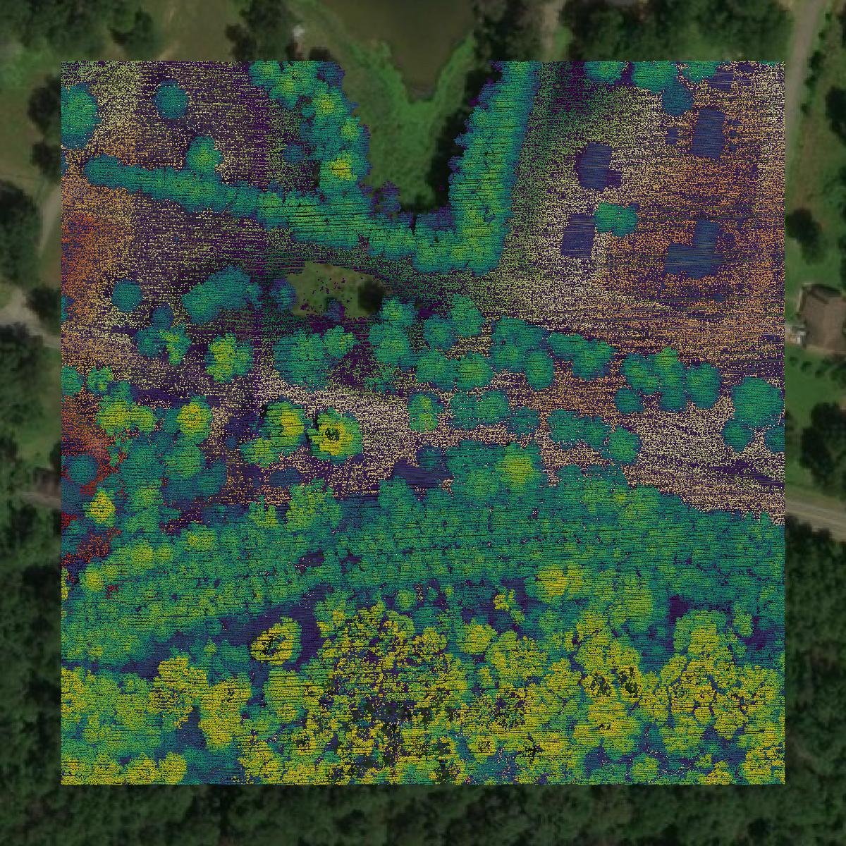 This image shows a LiDAR point cloud in East Feliciana Parish created using GIS data in Equator.