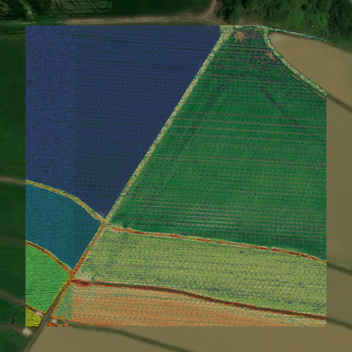 This image shows a LiDAR point cloud in Evangeline Parish created using GIS data in Equator.