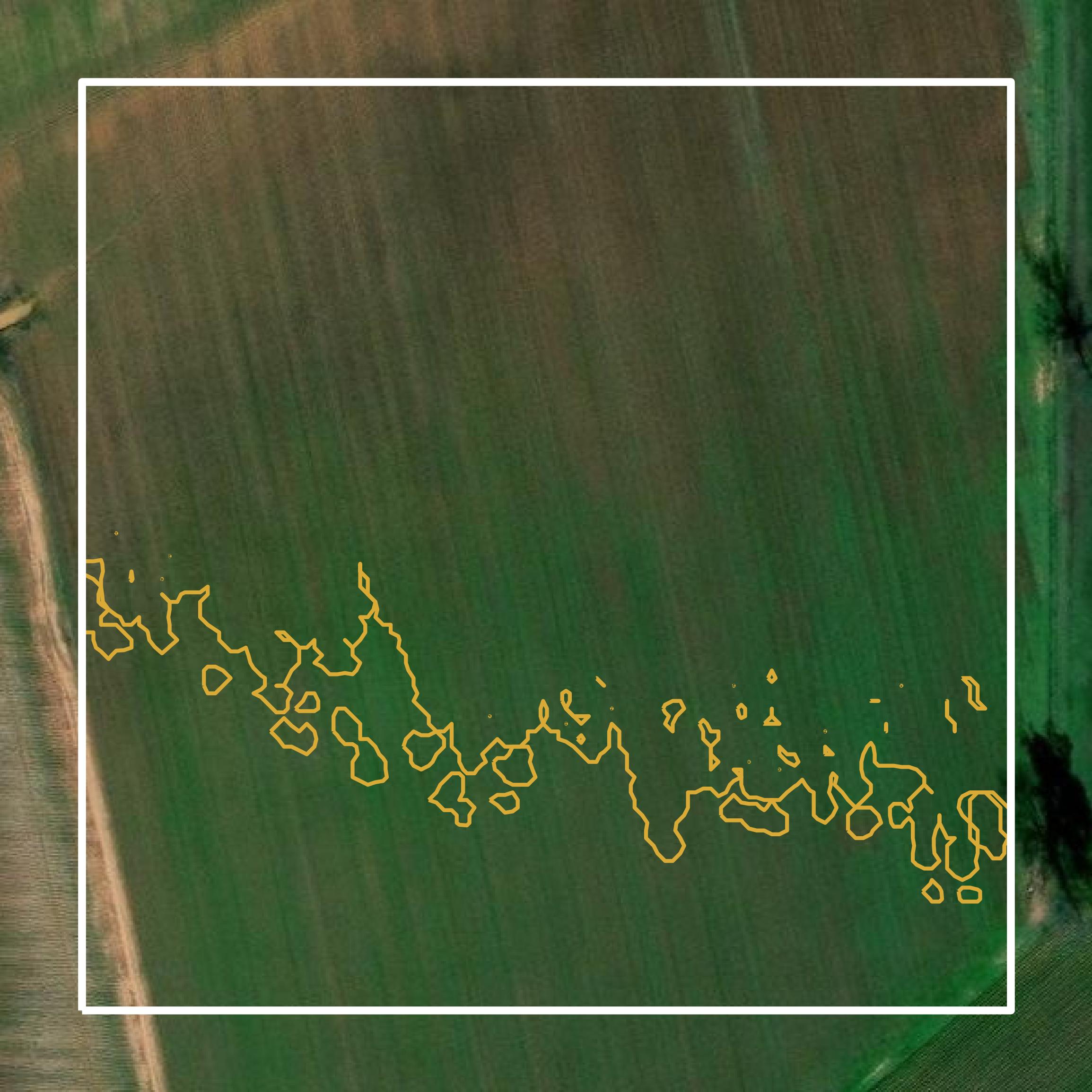 This image shows a contour map in Grant Parish created using GIS data in Equator.