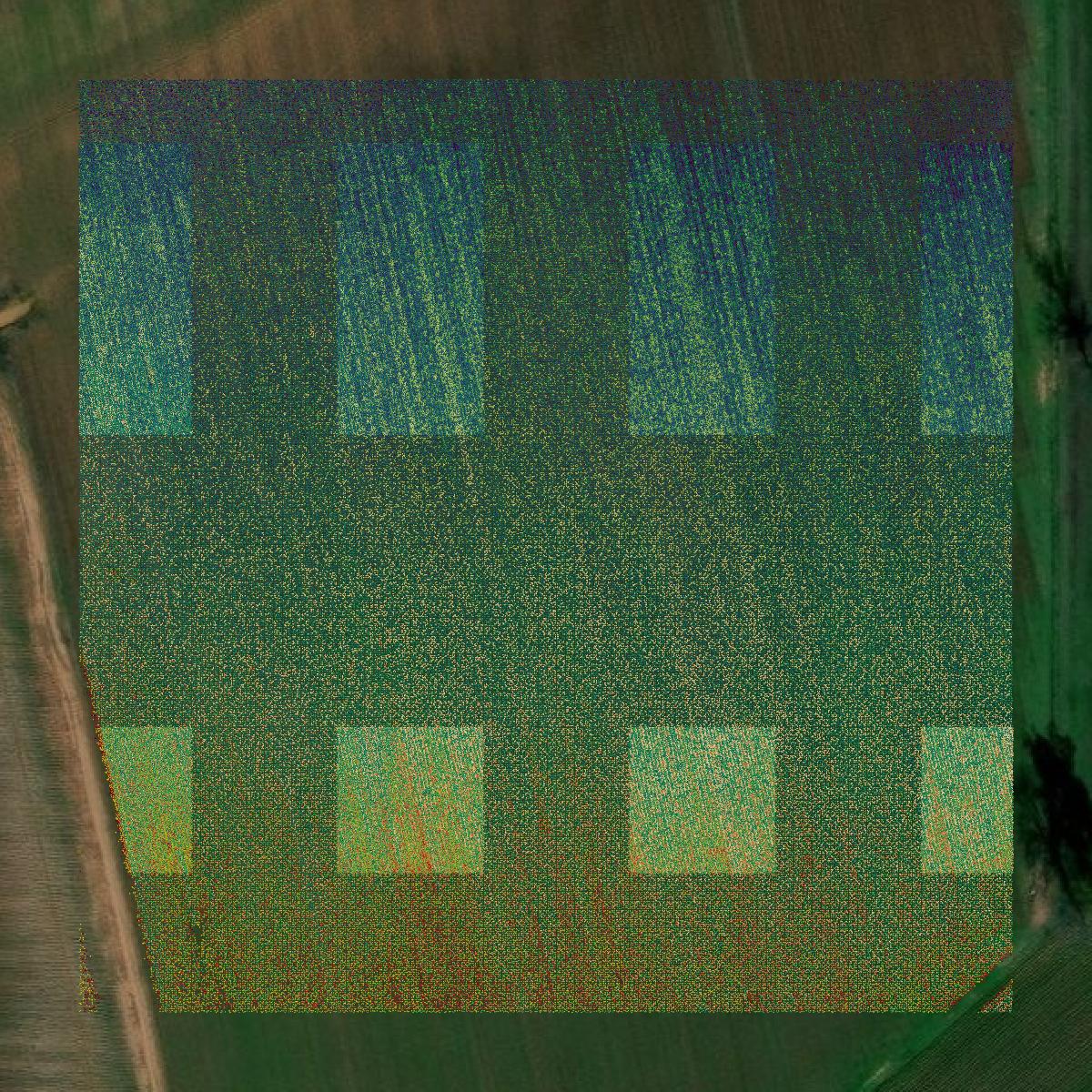 This image shows a LiDAR point cloud in Grant Parish created using GIS data in Equator.