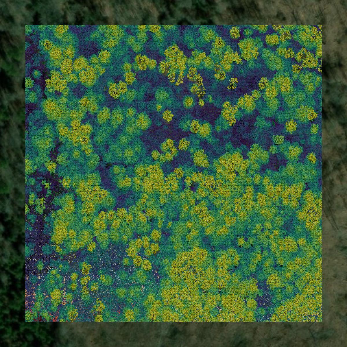 This image shows a LiDAR point cloud in Grant Parish created using GIS data in Equator.