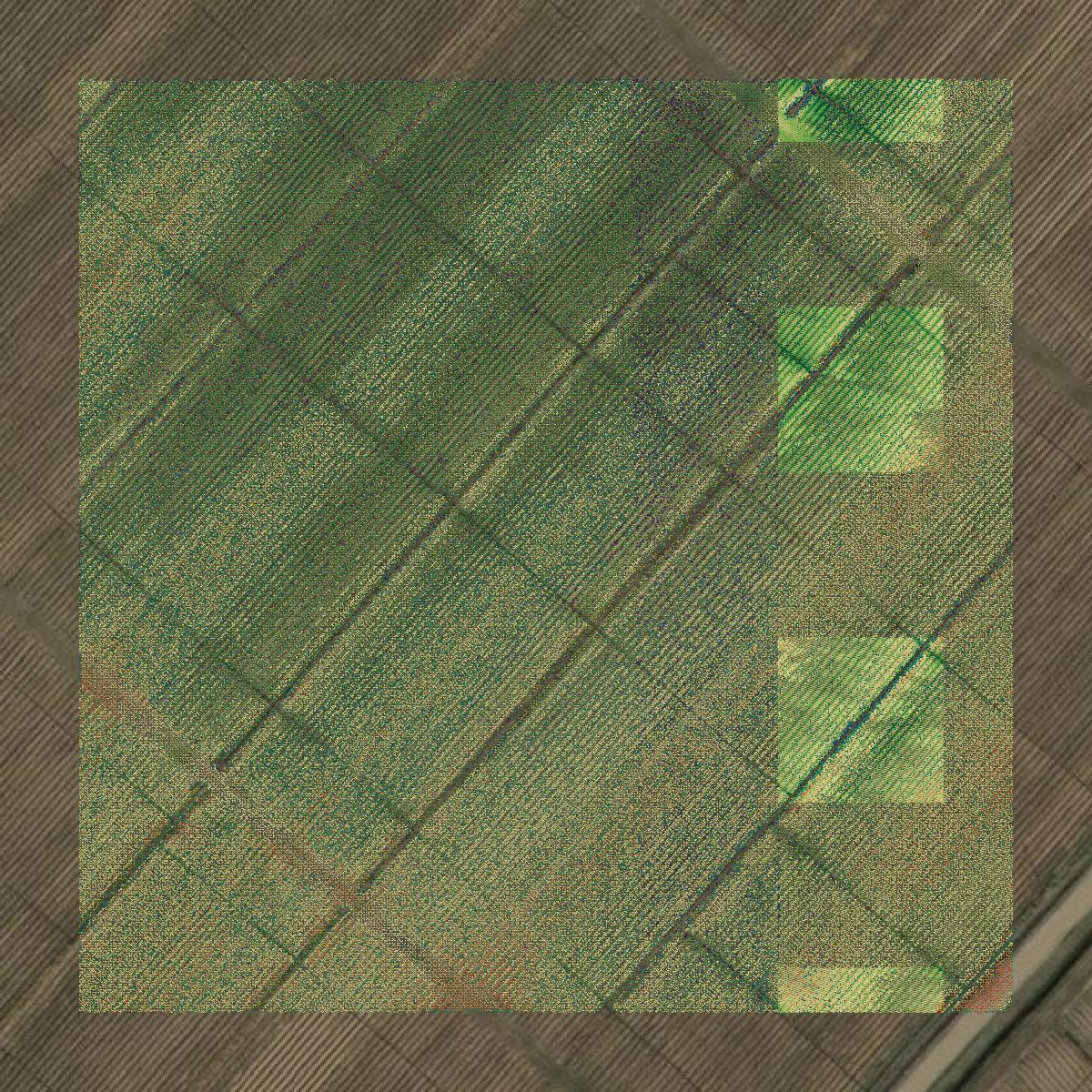 This image shows a LiDAR point cloud in Iberia Parish created using GIS data in Equator.