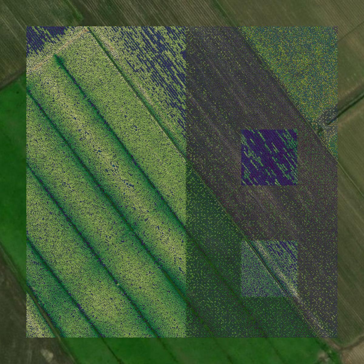 This image shows a LiDAR point cloud in Iberville Parish created using GIS data in Equator.