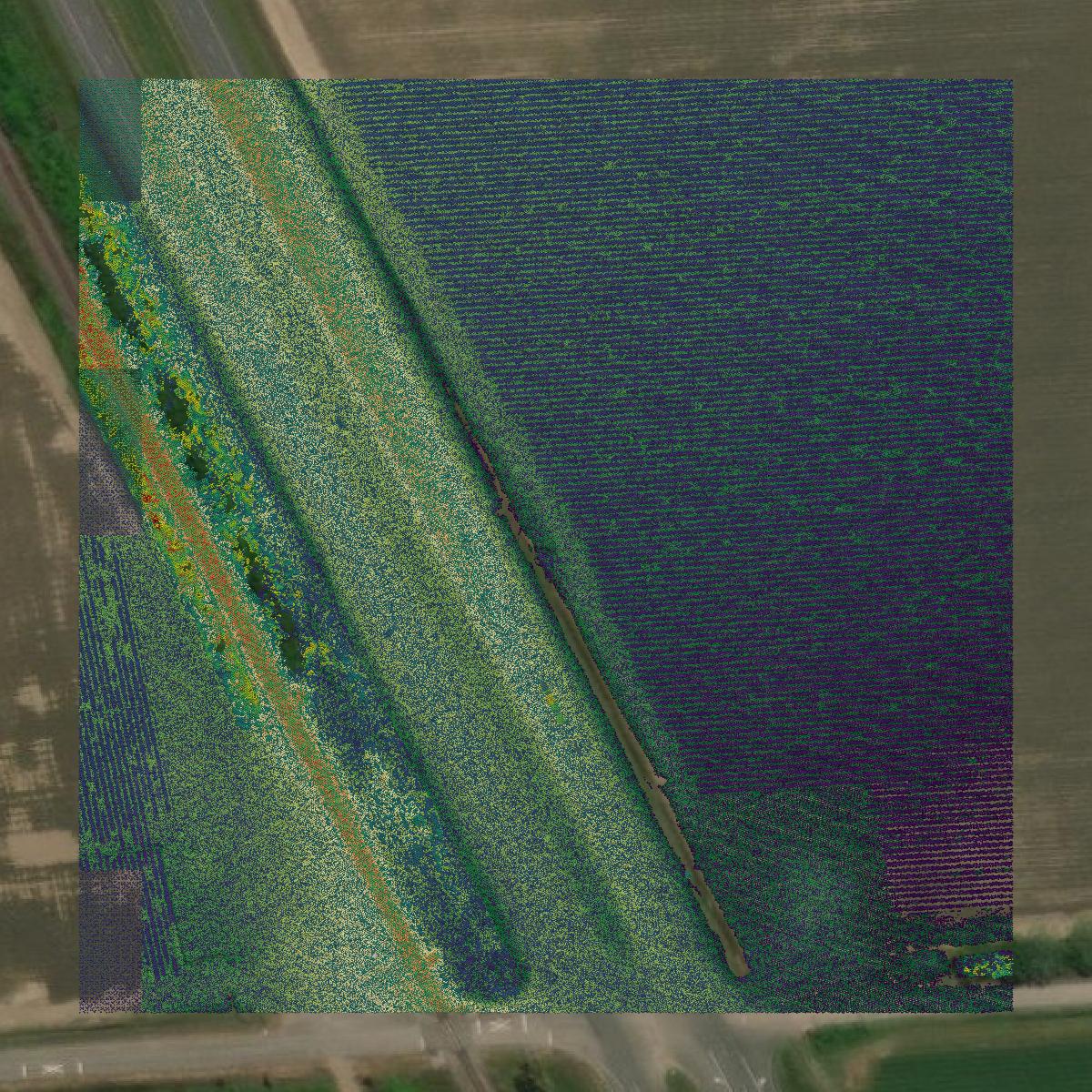 This image shows a LiDAR point cloud in Iberville Parish created using GIS data in Equator.