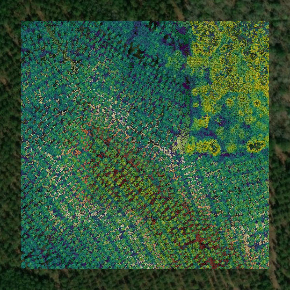 This image shows a LiDAR point cloud in Jackson Parish created using GIS data in Equator.