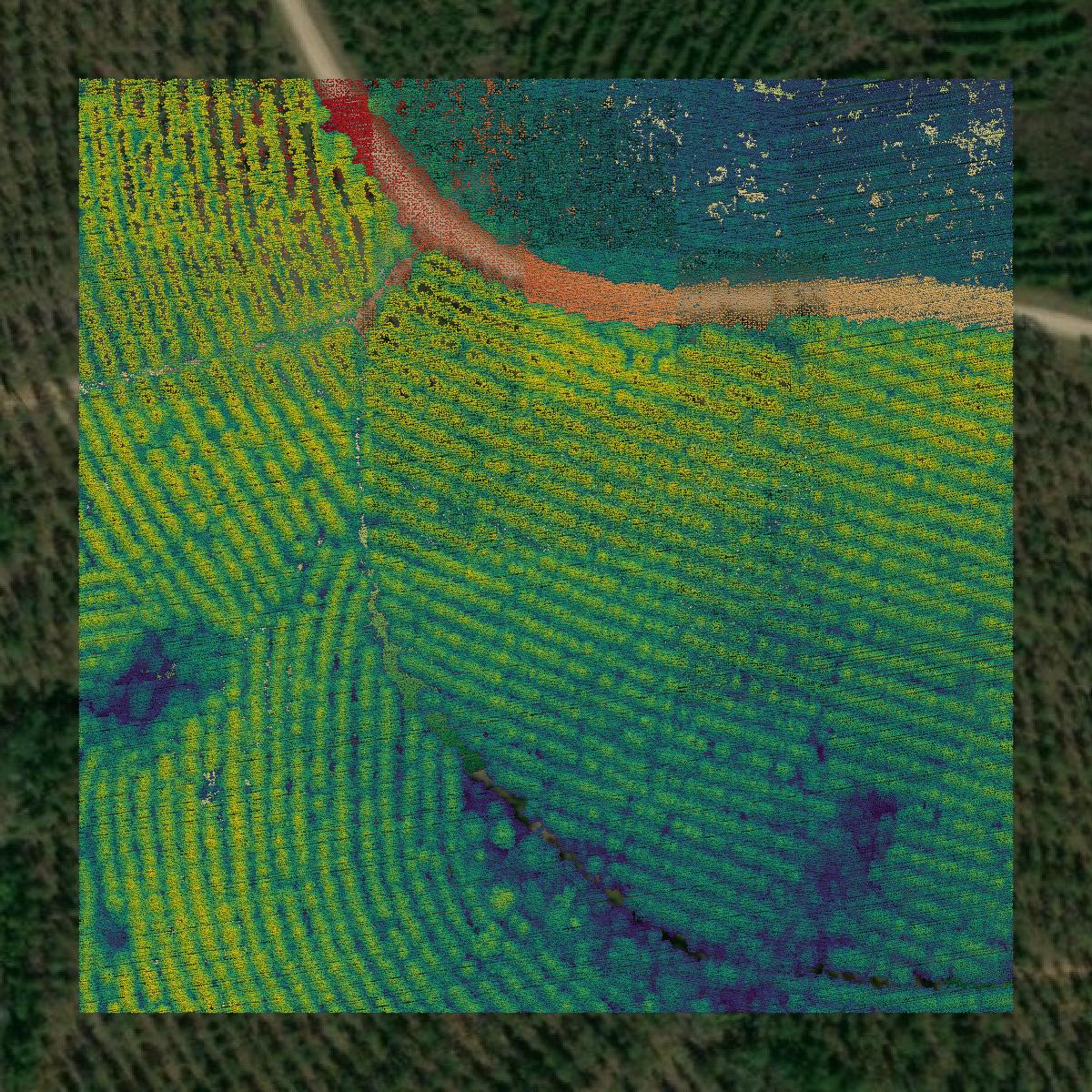 This image shows a LiDAR point cloud in Jackson Parish created using GIS data in Equator.