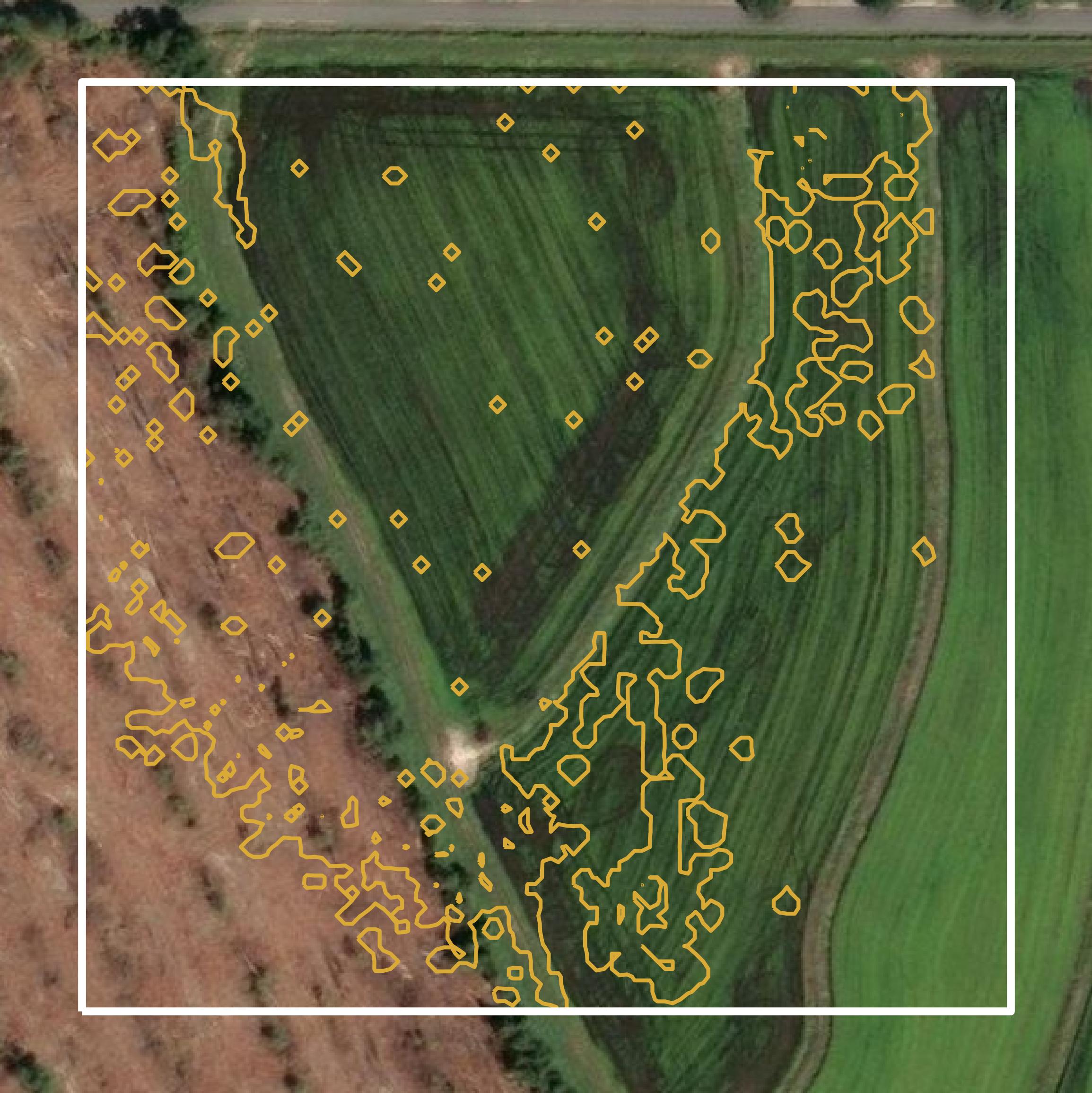 This image shows a contour map in Jefferson Davis Parish created using GIS data in Equator.