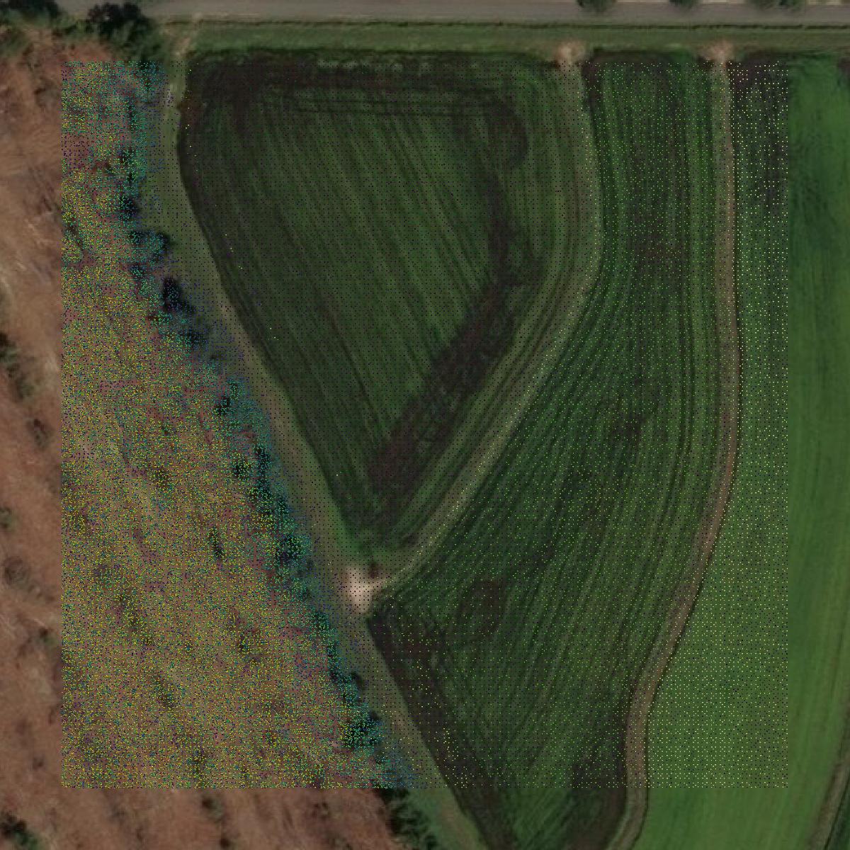 This image shows a LiDAR point cloud in Jefferson Davis Parish created using GIS data in Equator.