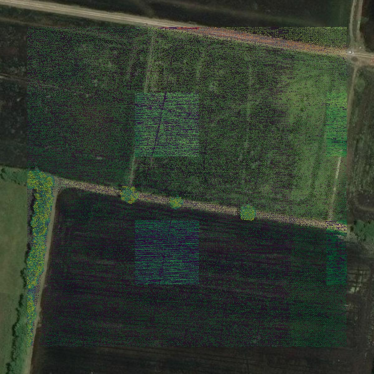 This image shows a LiDAR point cloud in Lafayette Parish created using GIS data in Equator.