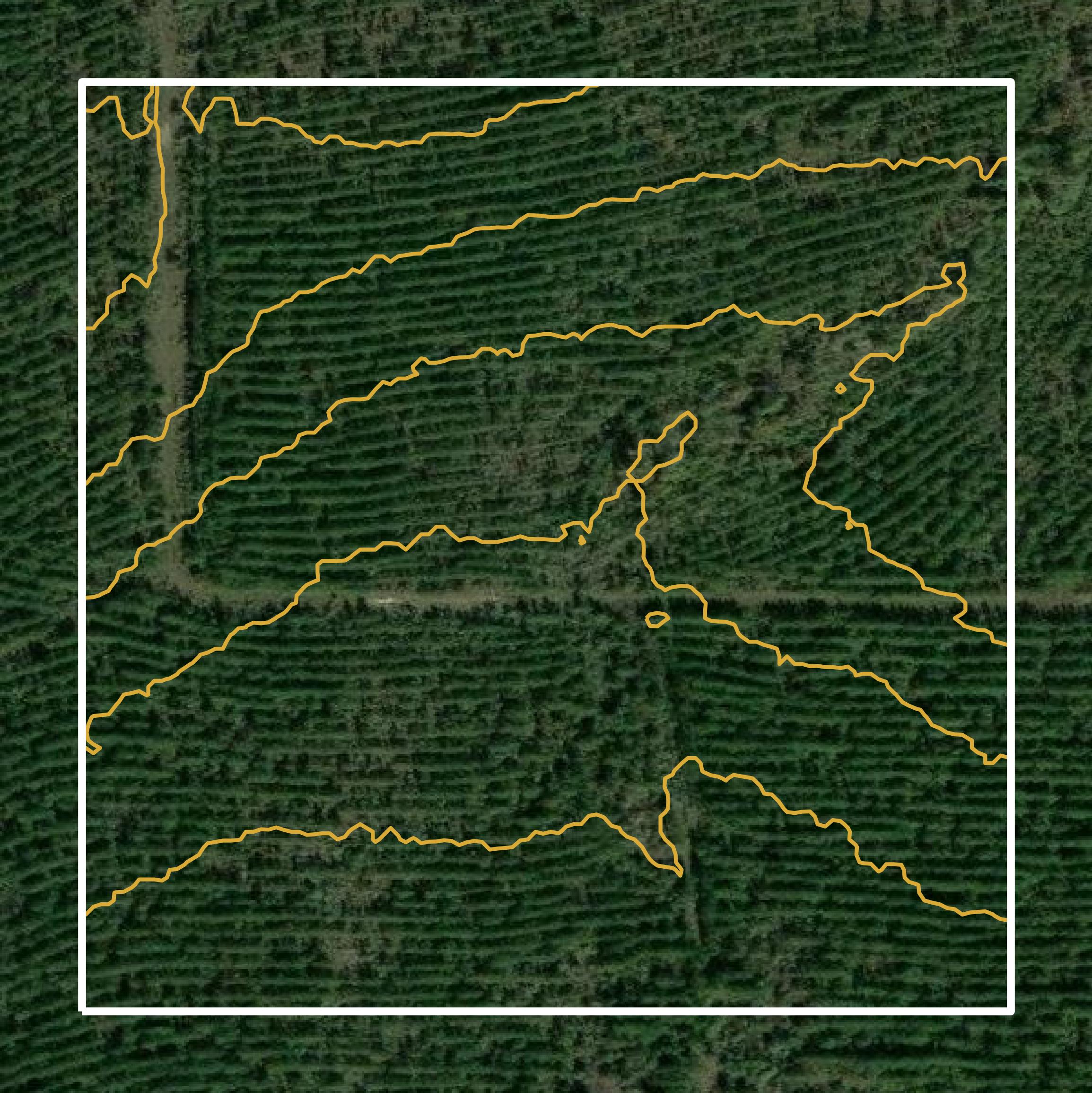 This image shows a contour map in LaSalle Parish created using GIS data in Equator.