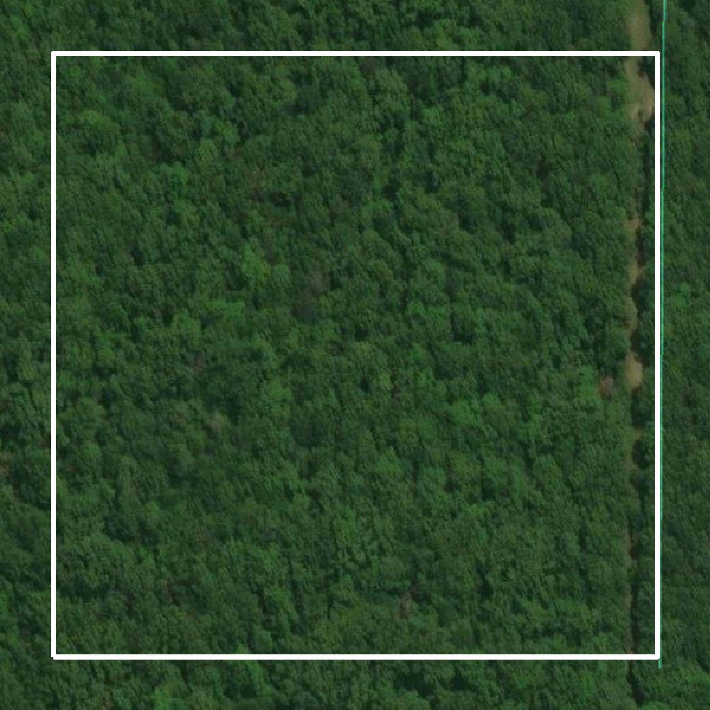 This image shows parcel and building data in LaSalle Parish created using GIS data in Equator.