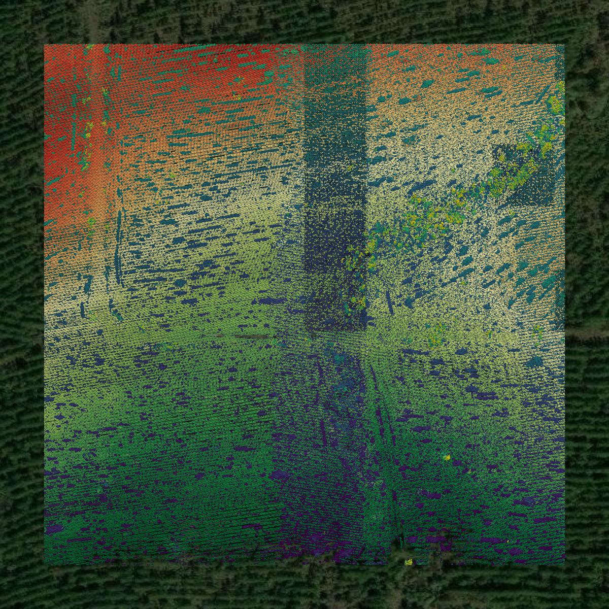 This image shows a LiDAR point cloud in LaSalle Parish created using GIS data in Equator.
